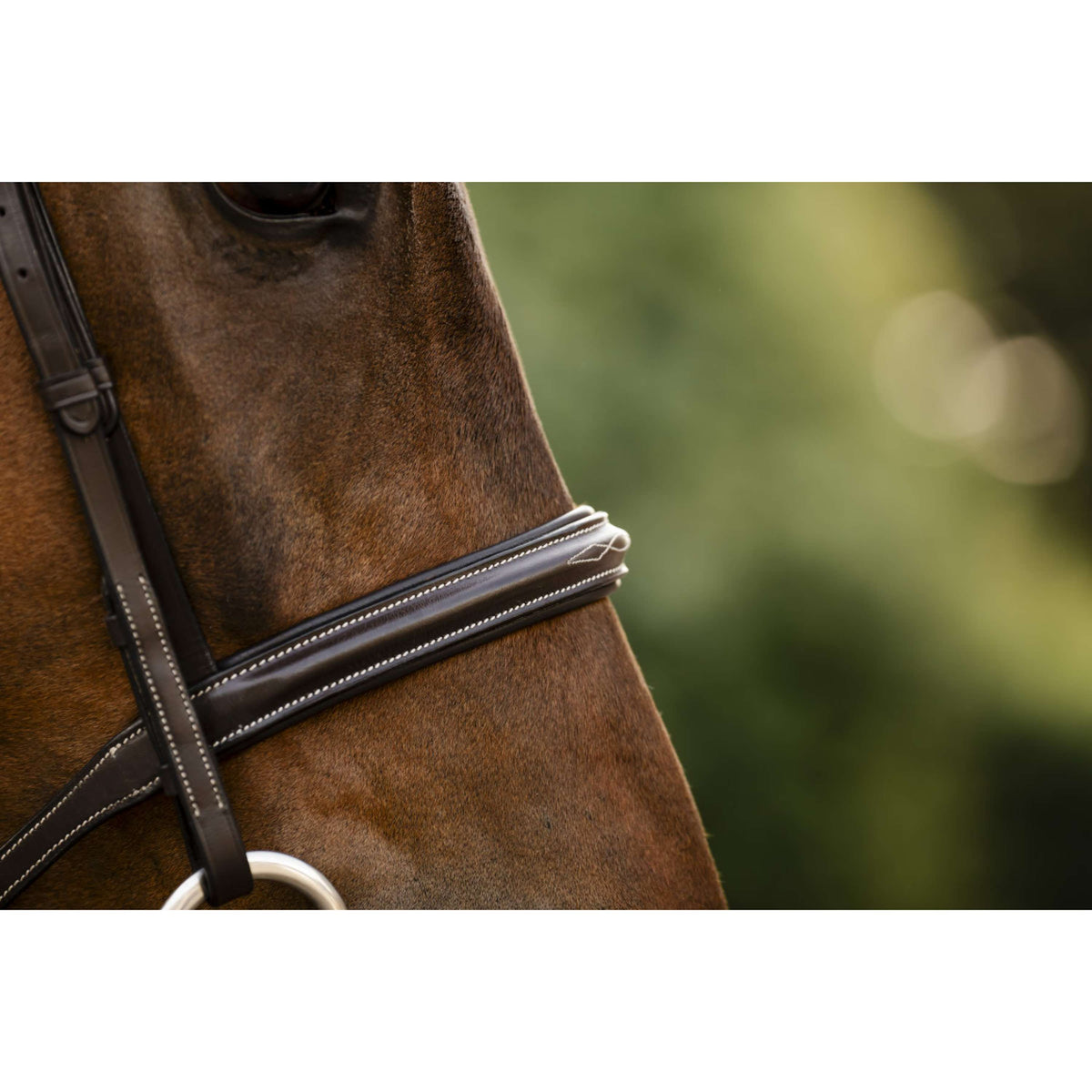 Horseware Zaum Hunter Havana Brown
