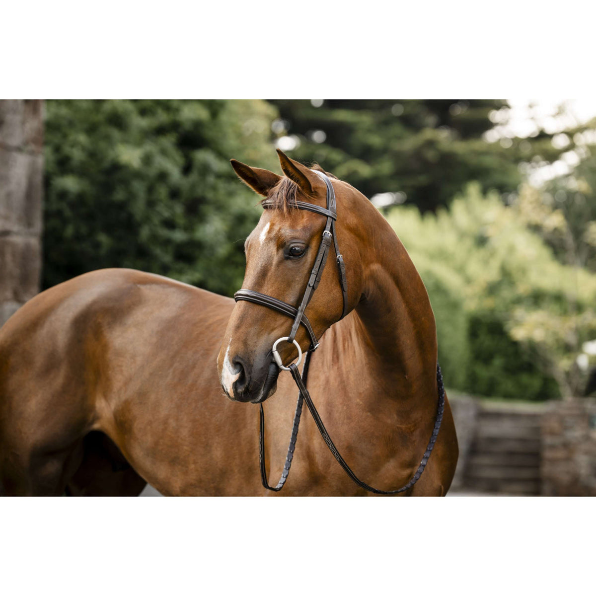 Horseware Zaum Hunter Havana Brown
