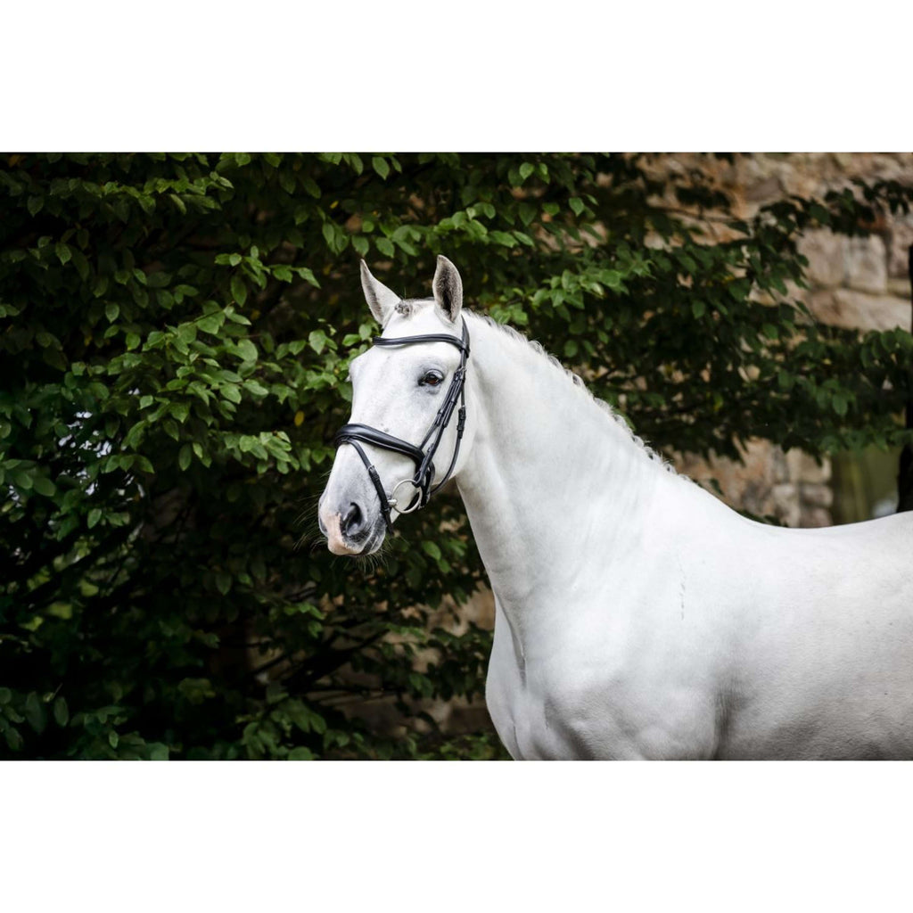 Horseware Zaum Pony Flash Schwarz