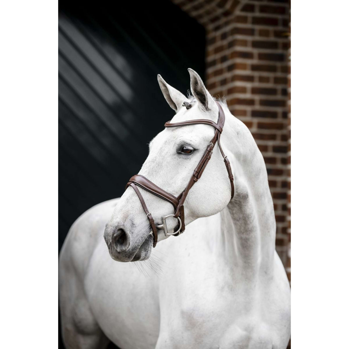 Horseware Zaum Dressage Braun