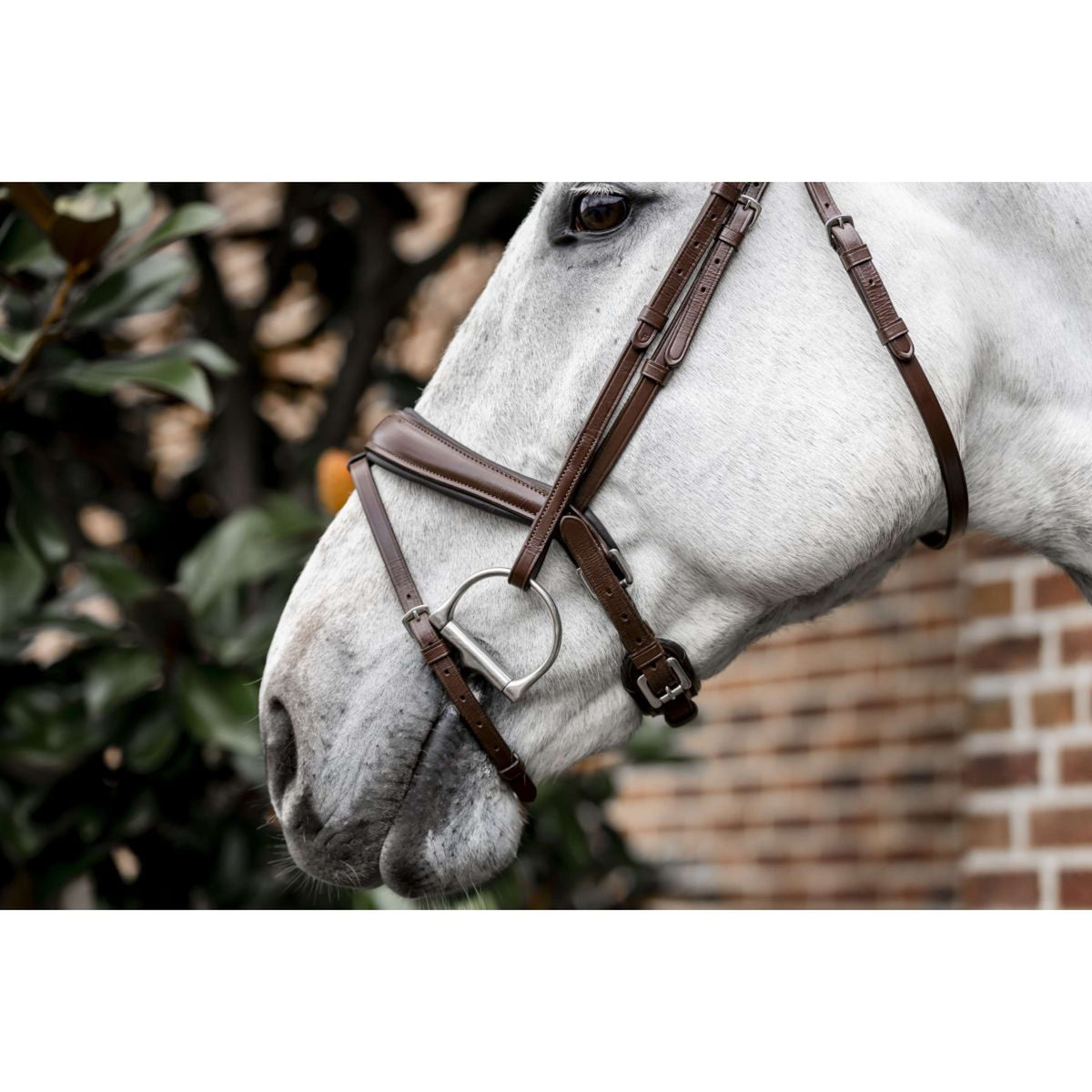 Horseware Zaum Dressage Braun
