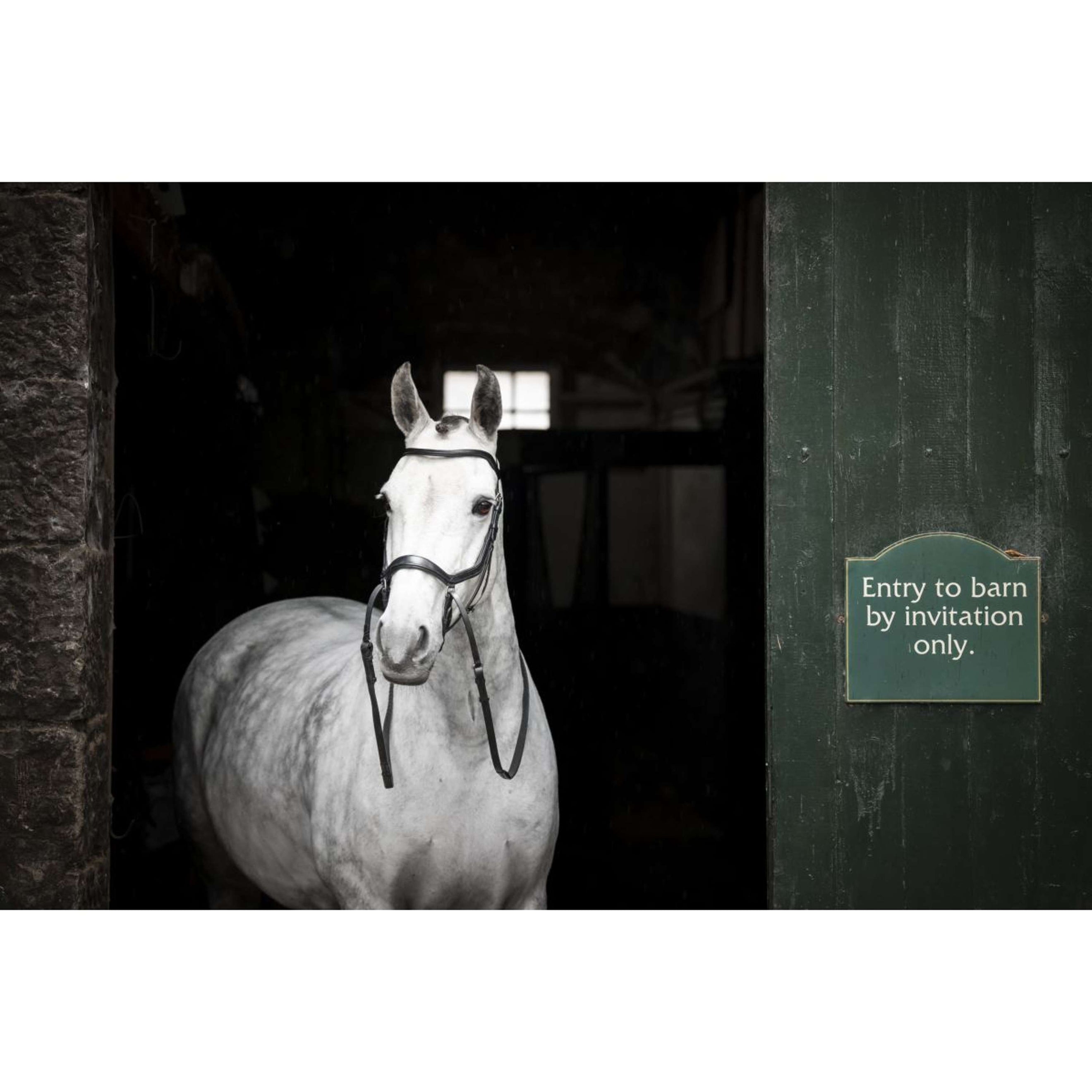 Horseware Micklem Bitless Bridle Schwarz
