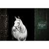 Horseware Micklem Bitless Bridle Braun