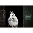 Horseware Micklem Bitless Bridle Braun