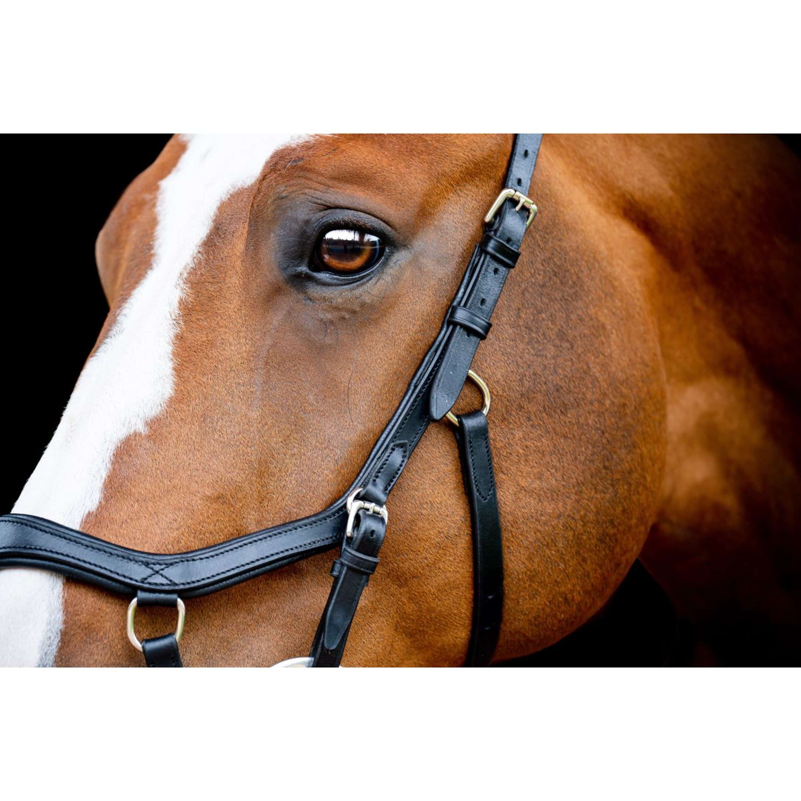 Horseware Micklem Competition Bridle New Schwarz Horseware Micklem Competition Bridle New Schwarz