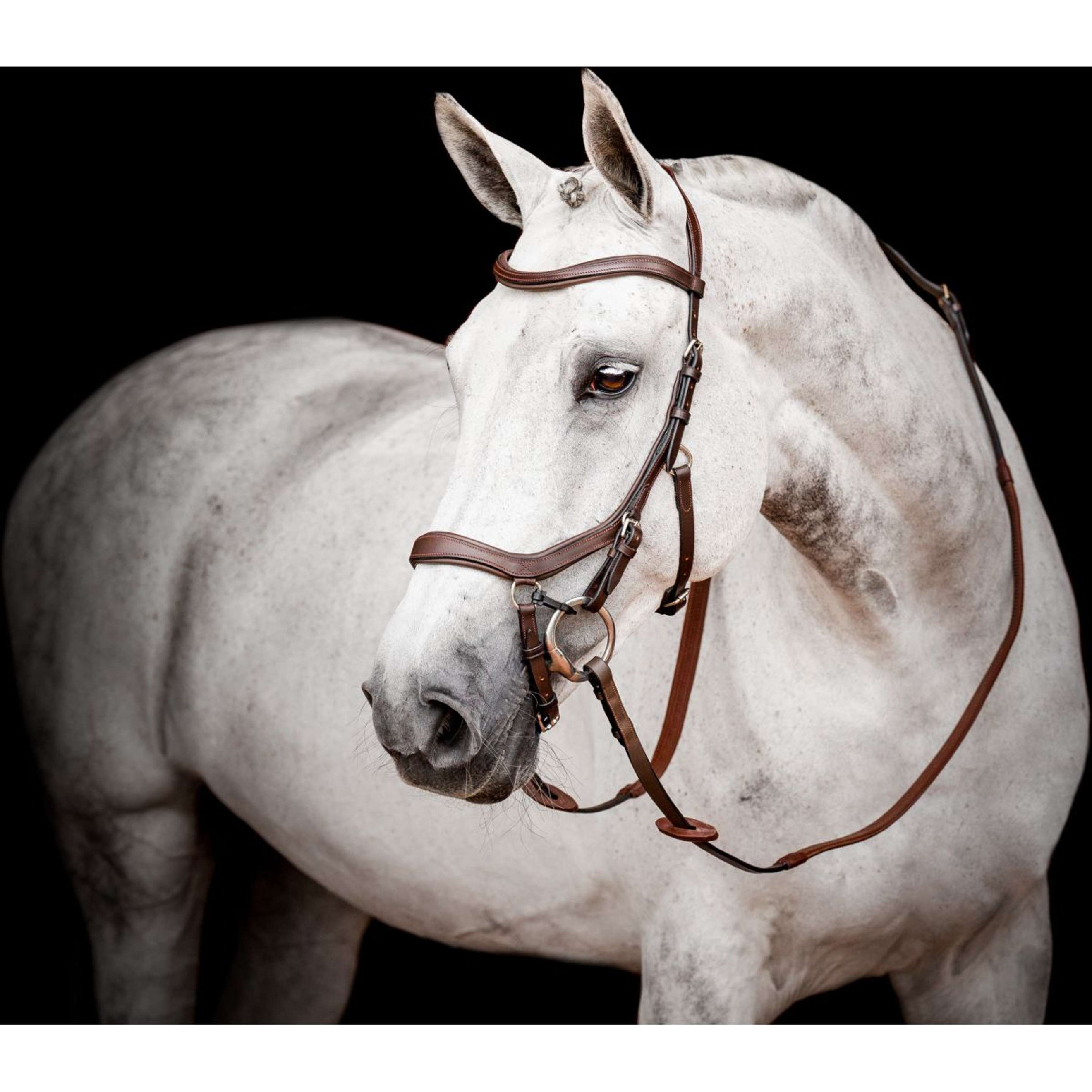 Horseware Micklem Competition Bridle New Dark Havana Horseware Micklem Competition Bridle New Dark Havana