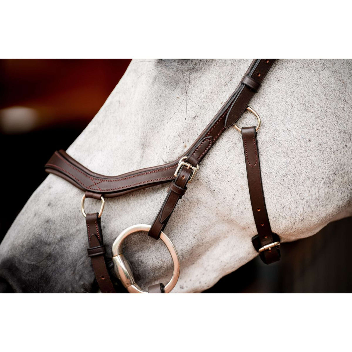 Rambo Micklem Competition Bridle New Dark Havana