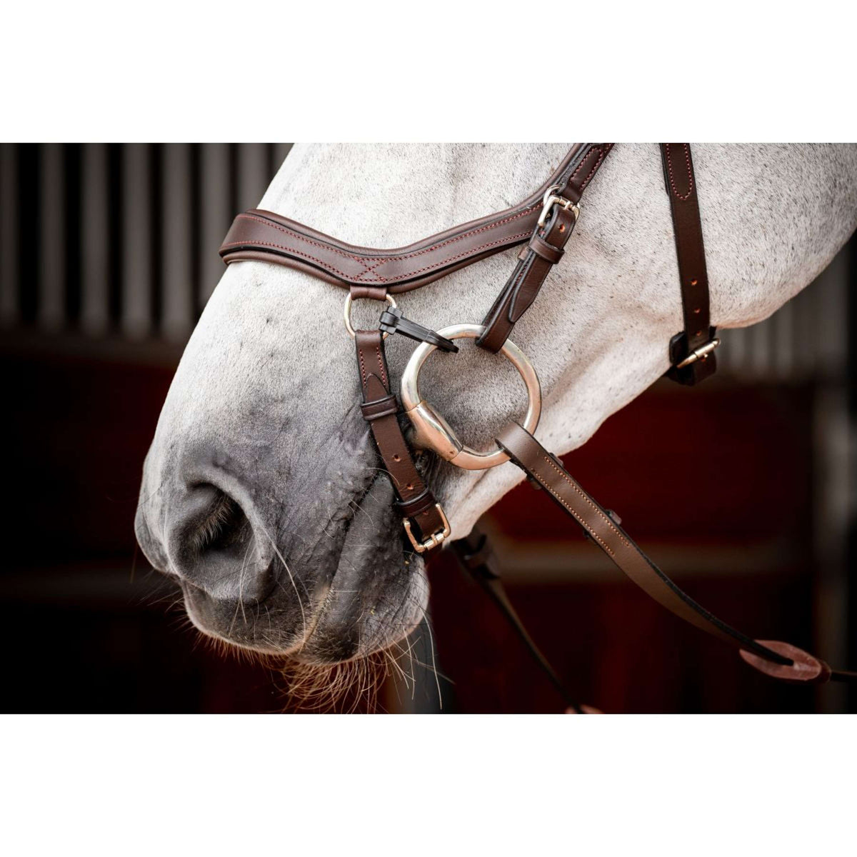 Rambo Micklem Competition Bridle New Dark Havana