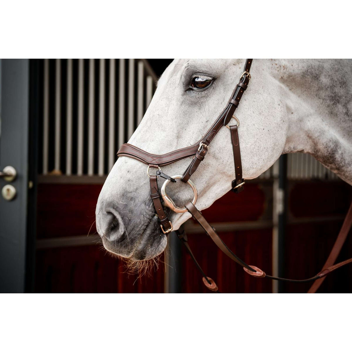 Rambo Micklem Competition Bridle New Dark Havana