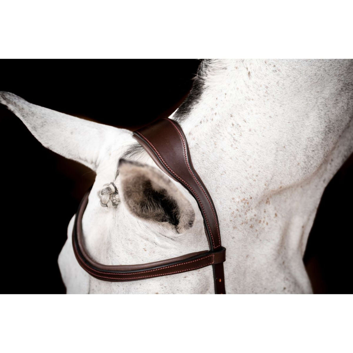 Rambo Micklem Competition Bridle New Dark Havana