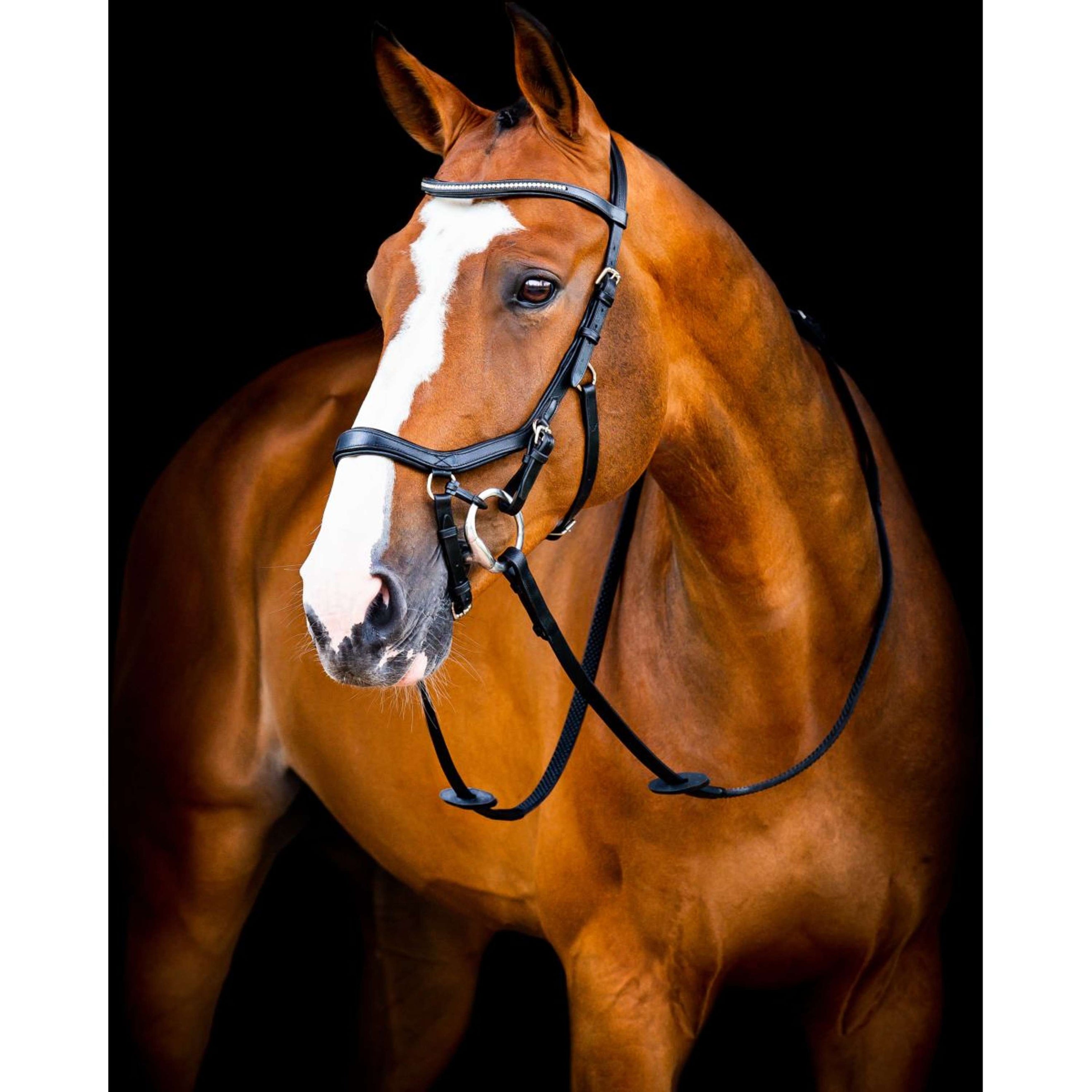Rambo Micklem Diamond Competition Bridle New Schwarz Rambo Micklem Diamond Competition Bridle New Schwarz