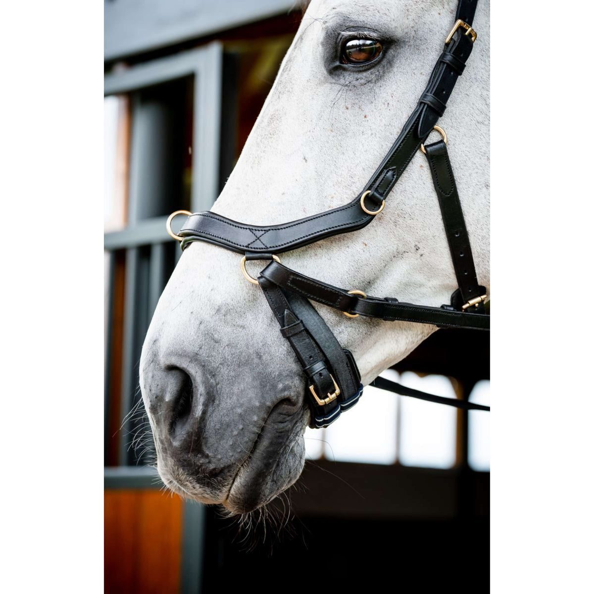 Rambo Micklem Multi Bridle New Schwarz