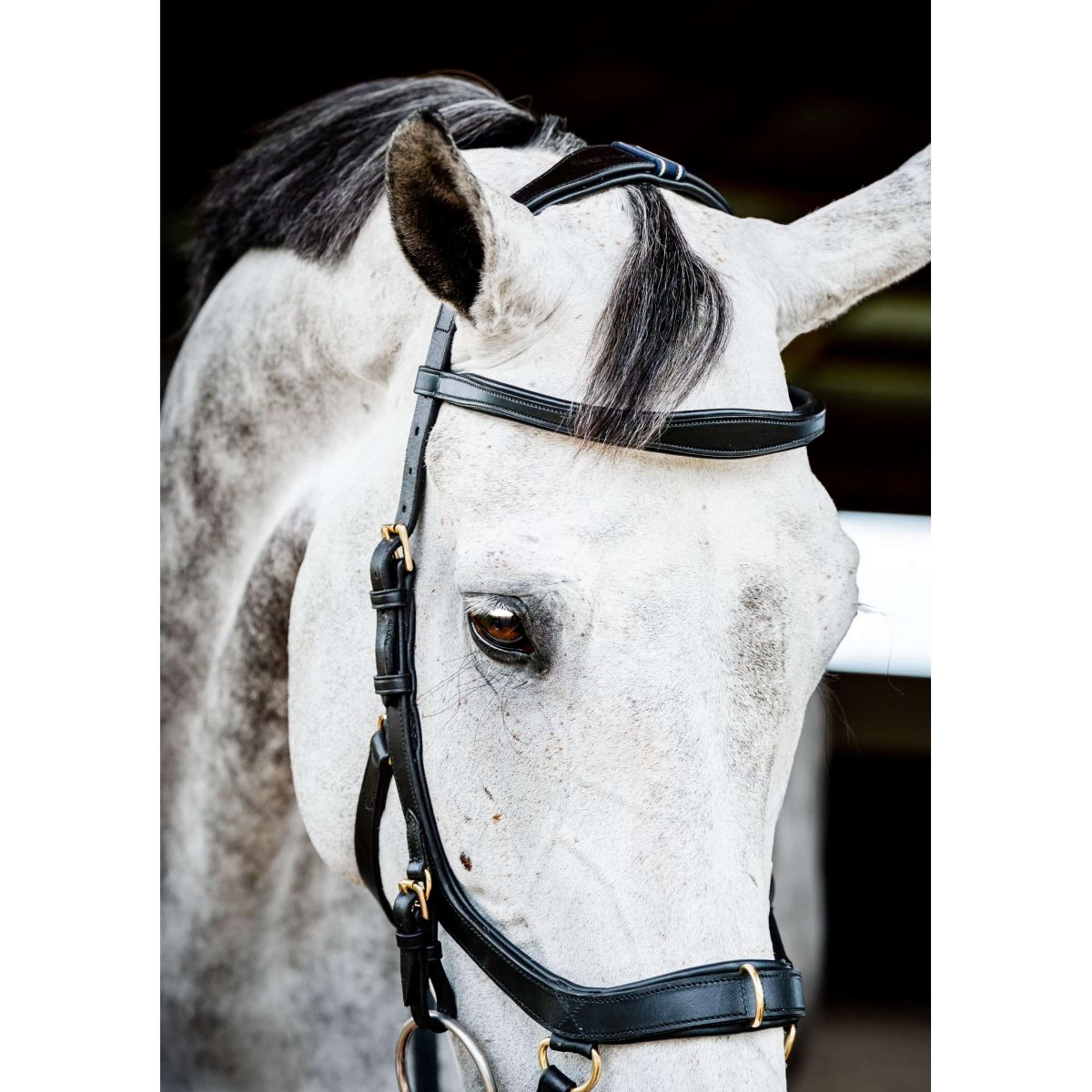 Horseware Micklem Multi Bridle New Schwarz Horseware Micklem Multi Bridle New Schwarz