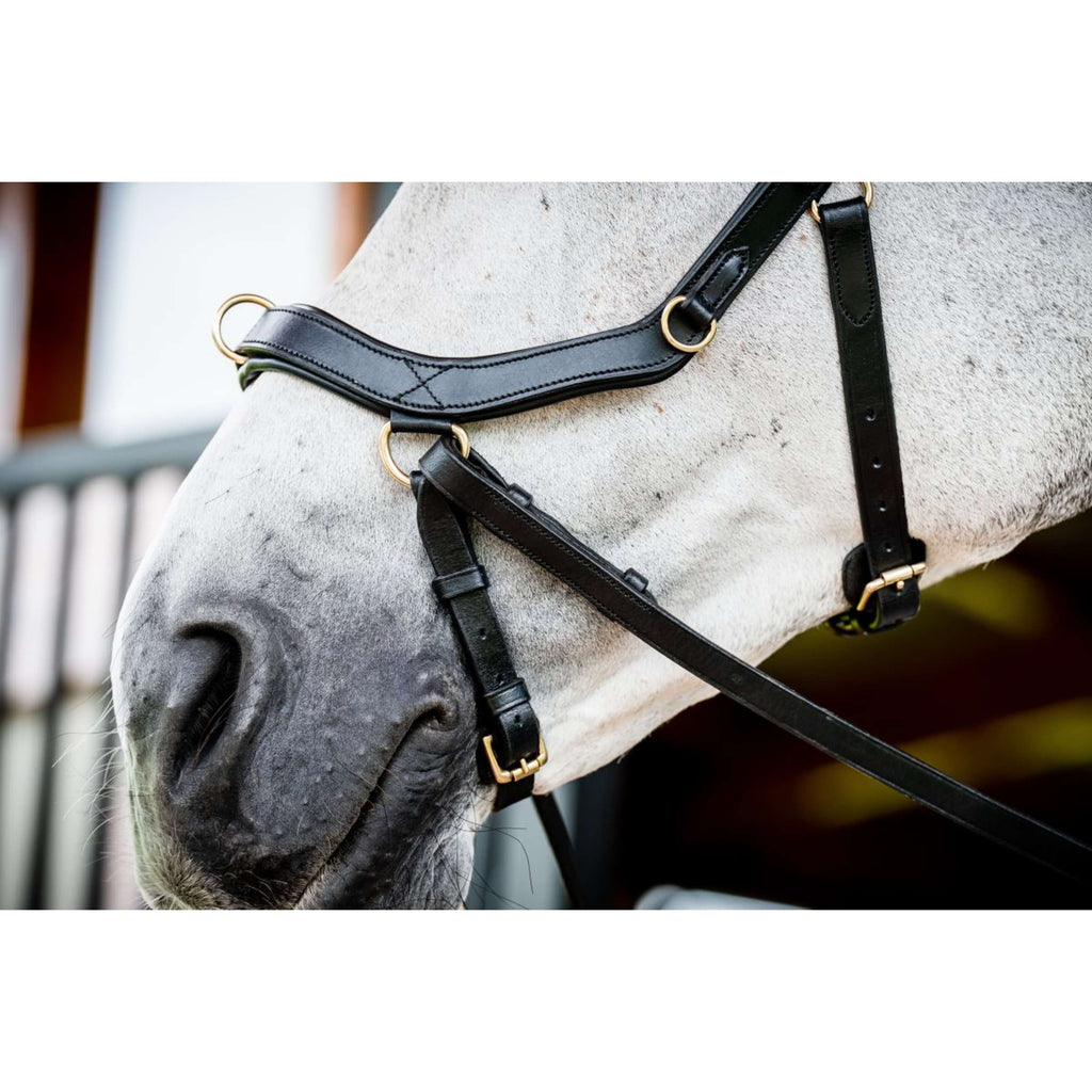 Horseware Micklem Multi Bridle New Schwarz