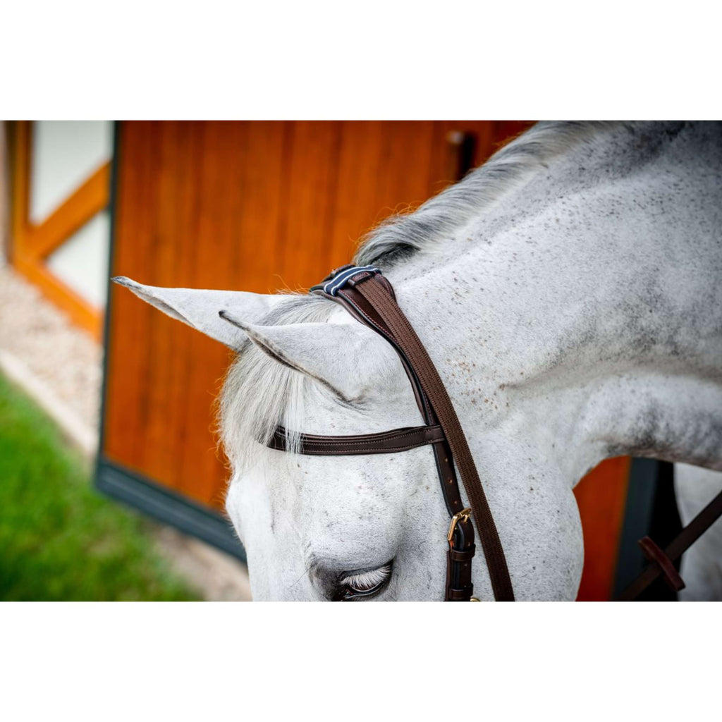 Horseware Micklem Multi Bridle New Dark Havana
