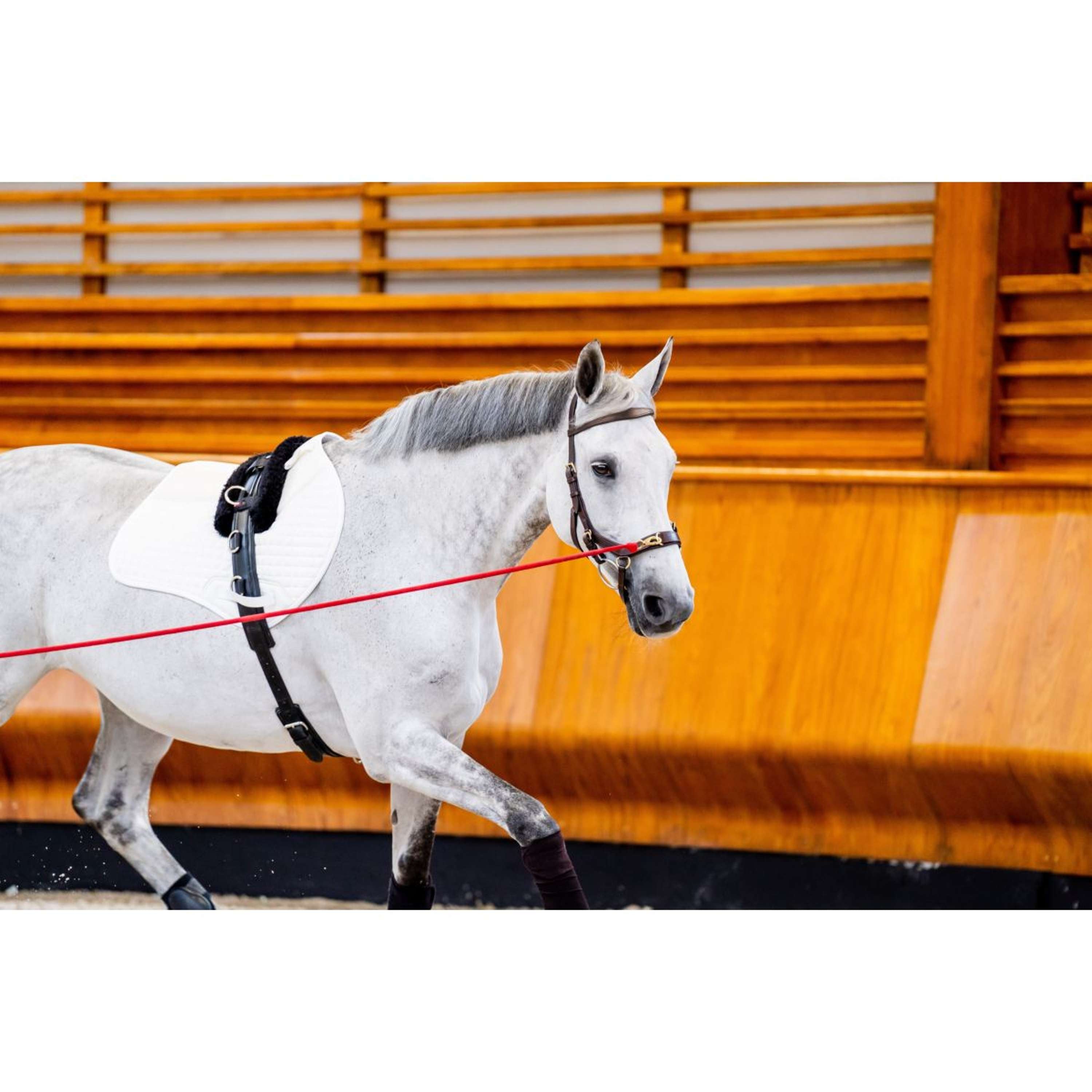 Horseware Micklem Multi Bridle New Dark Havana