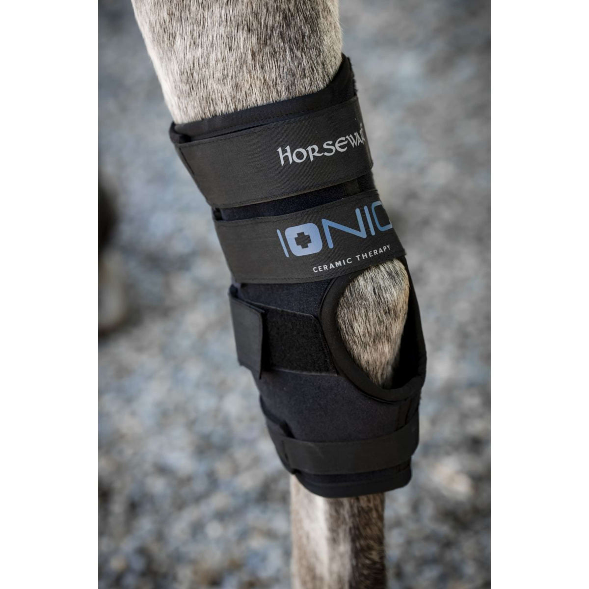 Horseware Hock Boots Ionic Set of 2 Schwarz