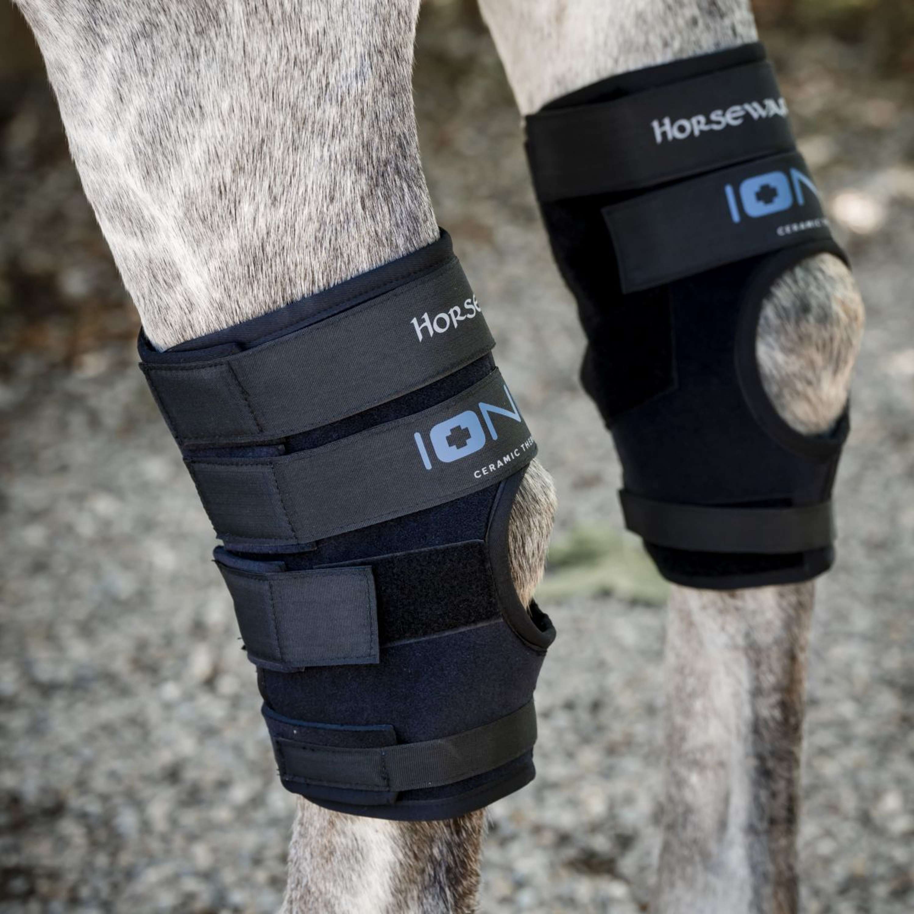 Horseware Hock Boots Ionic Set of 2 Schwarz