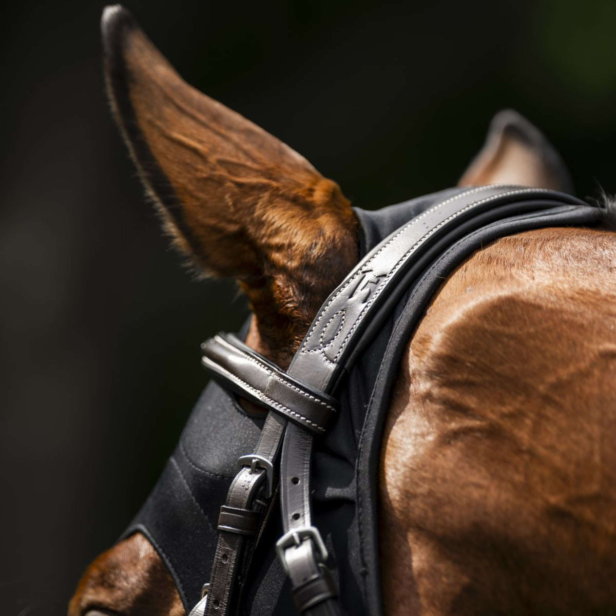 Horseware Calming Face Mask Ionic Schwarz