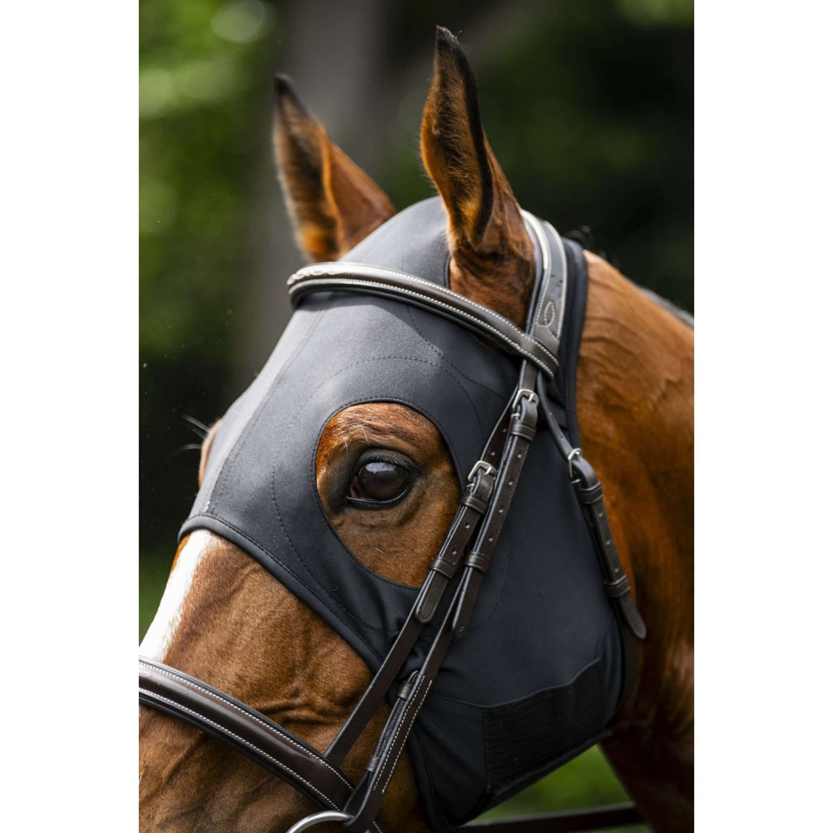 Horseware Calming Face Mask Ionic Schwarz
