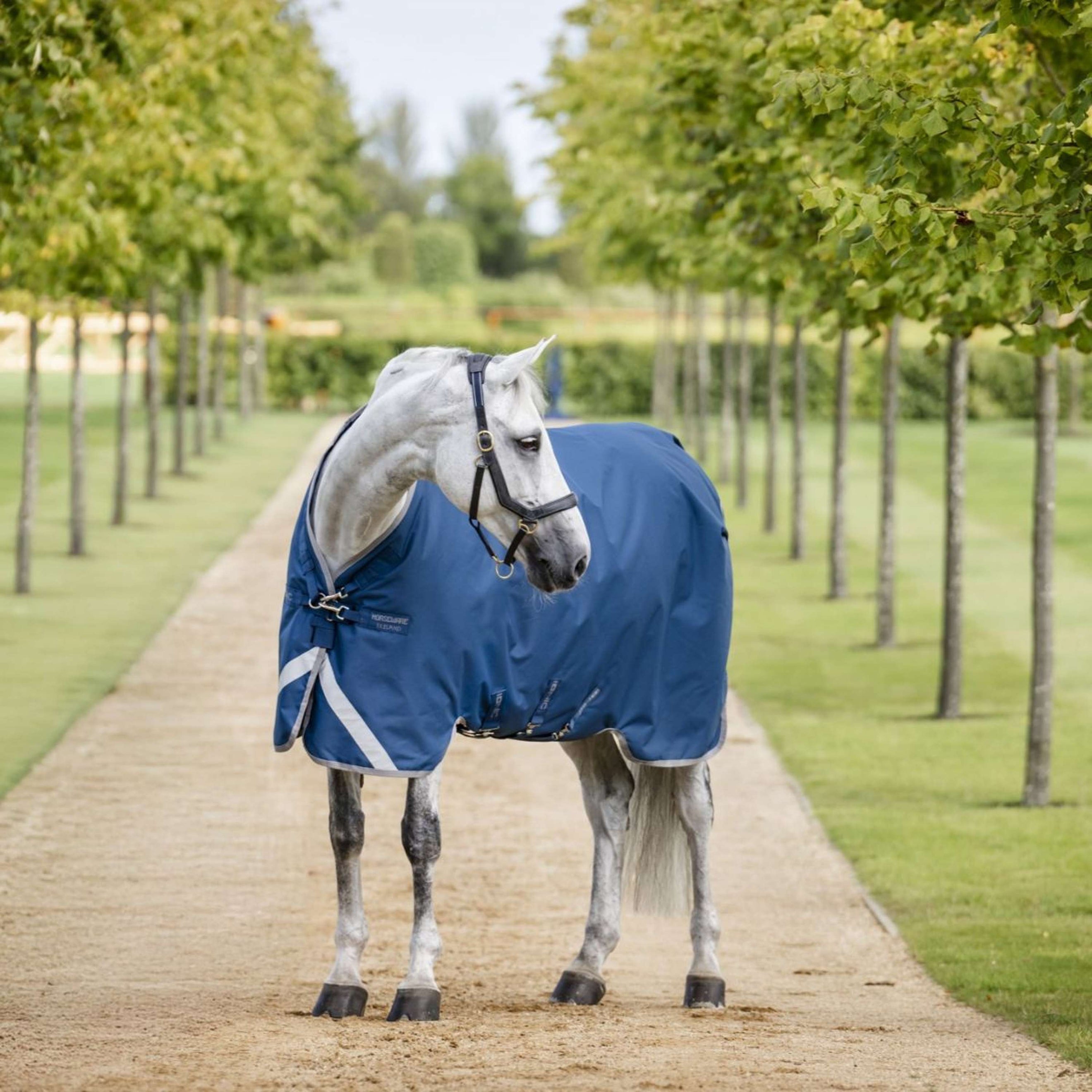 Horseware Therapy Turnout Ionic 100g Imperialblau/Silber/Marineblau