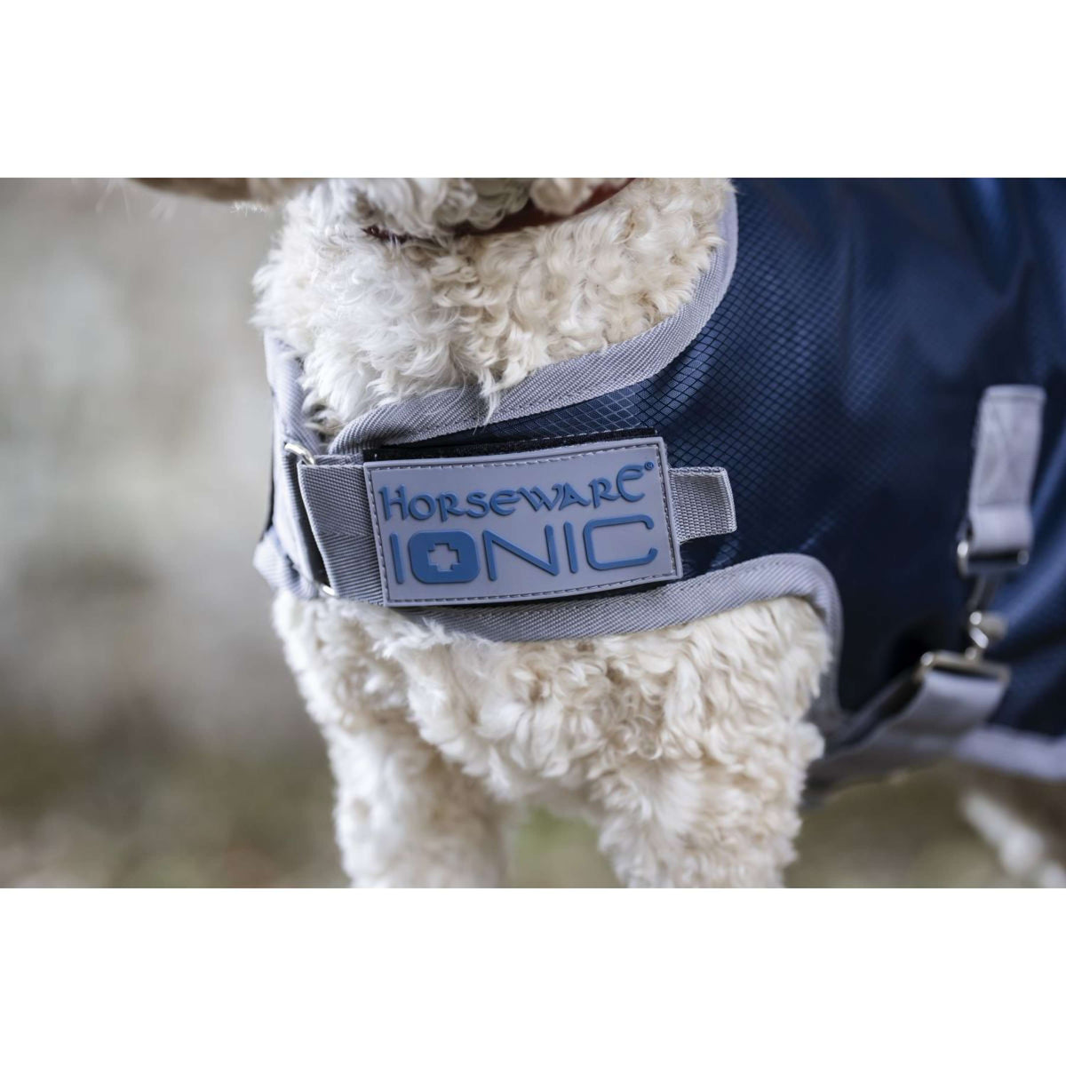 Horseware Ionic Therapy Dog Coat 50g Imperial Blue/Silver/Navy