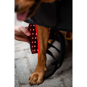 Horseware Pet Leg Wraps LED Red Light Therapy Pair Schwarz/Schwarz