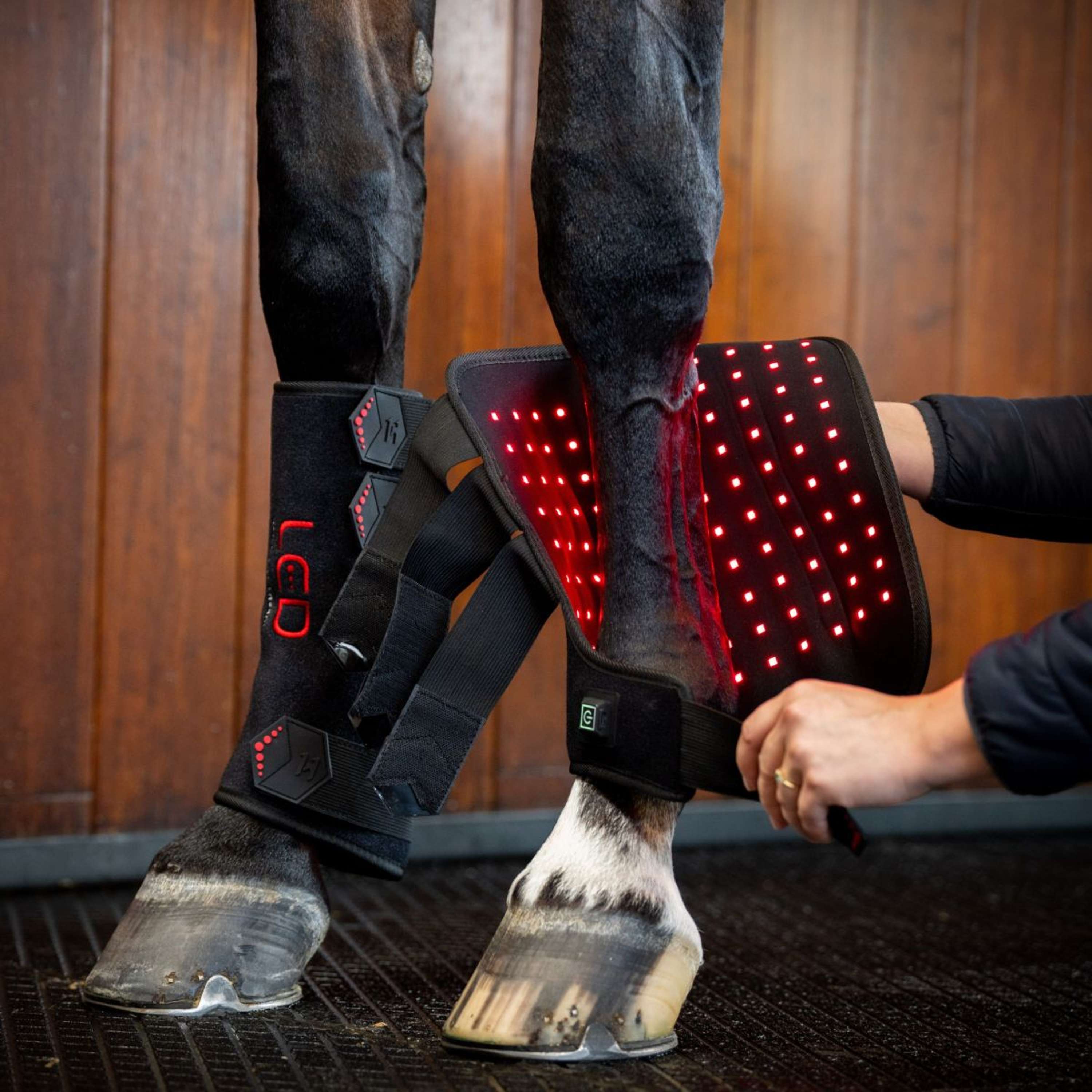 Horseware Leg Wraps LED Red Light Therapy Pair Schwarz/Schwarz