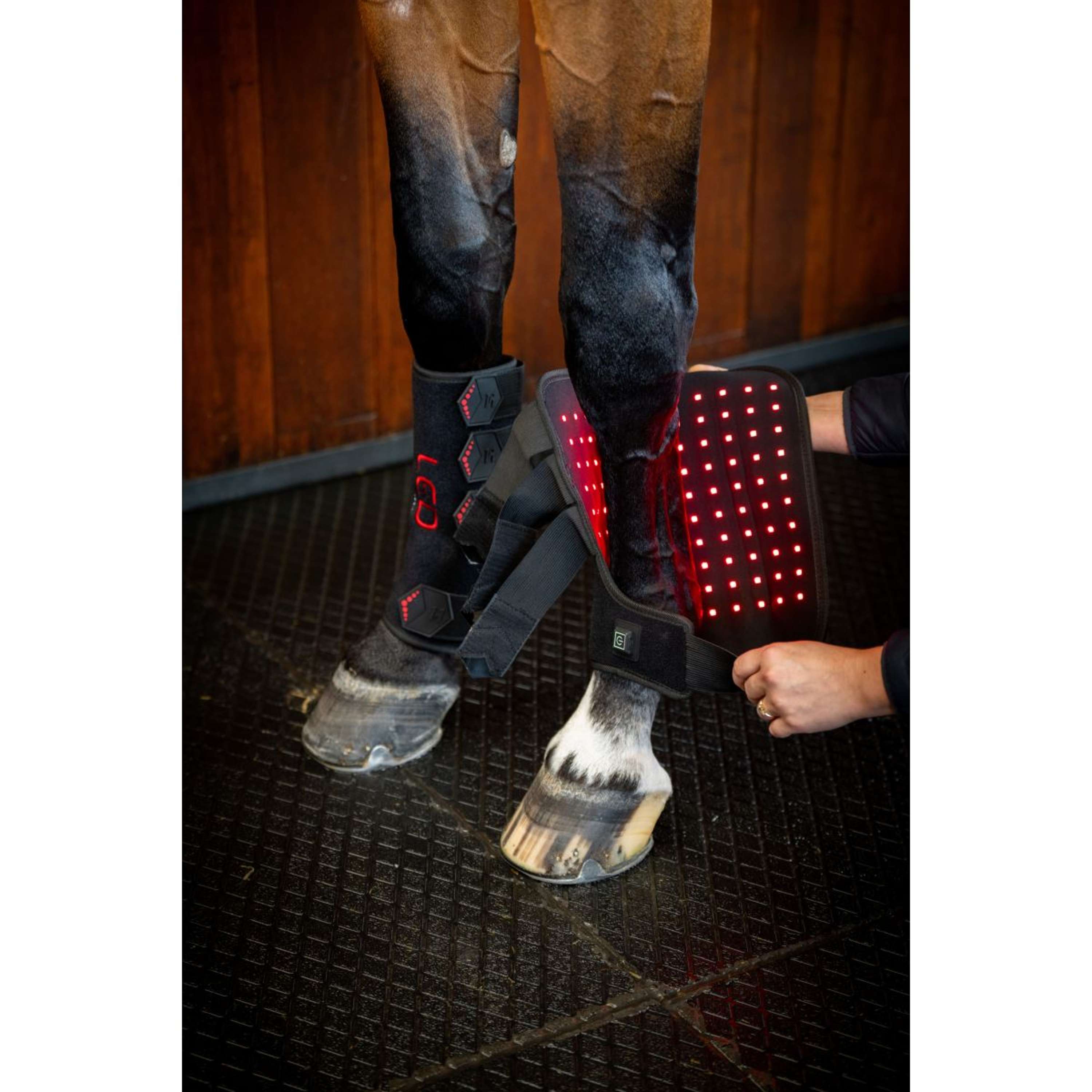 Horseware Leg Wraps LED Red Light Therapy Pair Schwarz/Schwarz