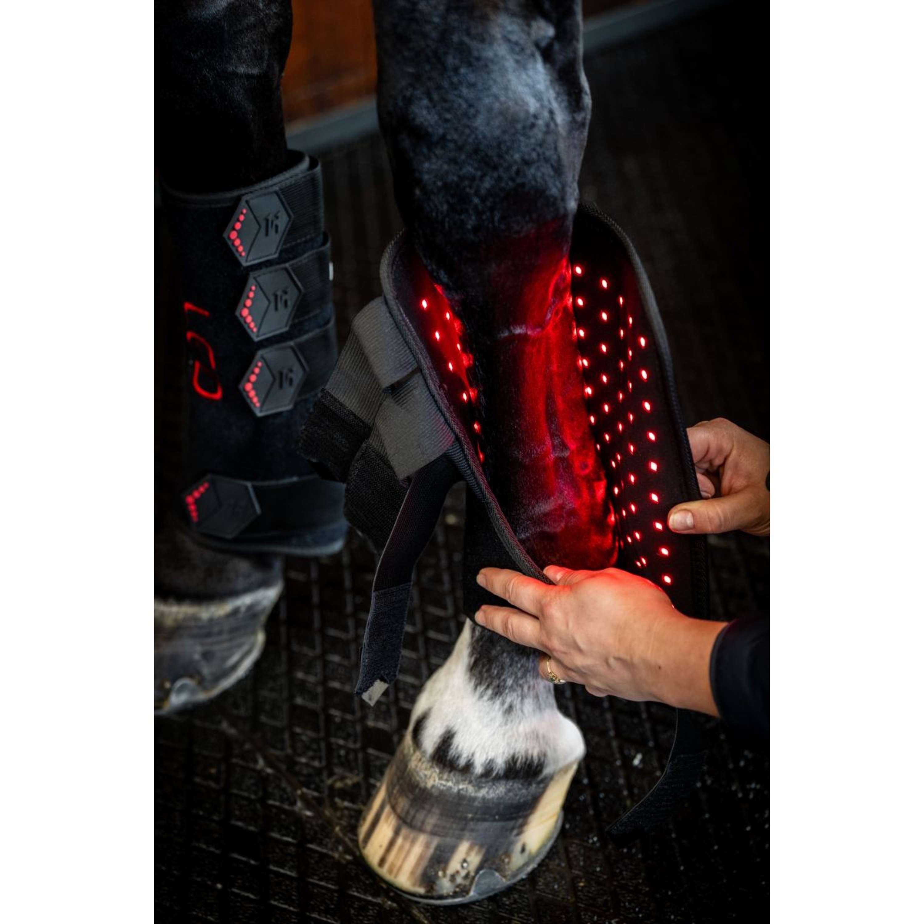 Horseware Leg Wraps LED Red Light Therapy Pair Schwarz/Schwarz