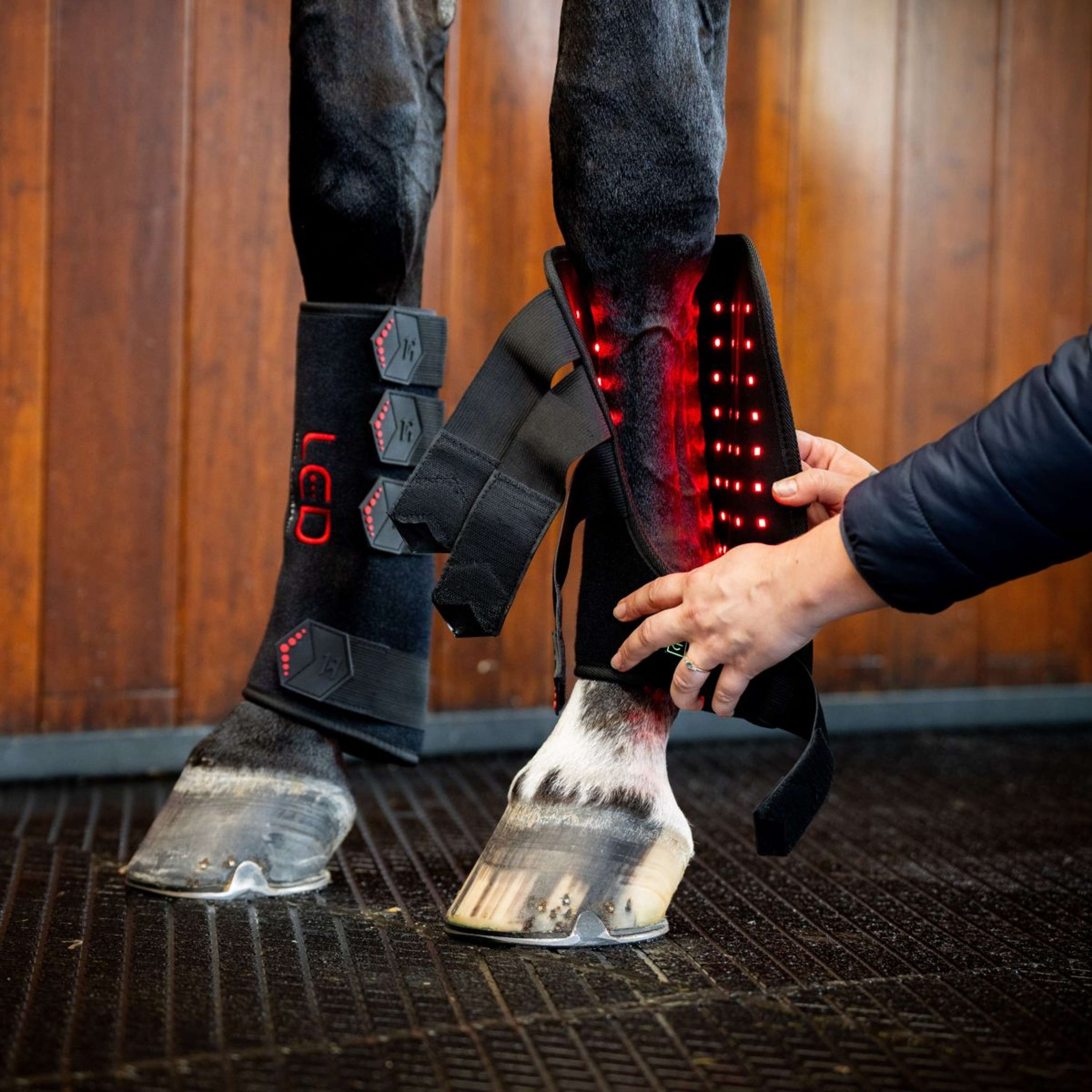 Horseware Leg Wraps LED Red Light Therapy Pair Schwarz/Schwarz
