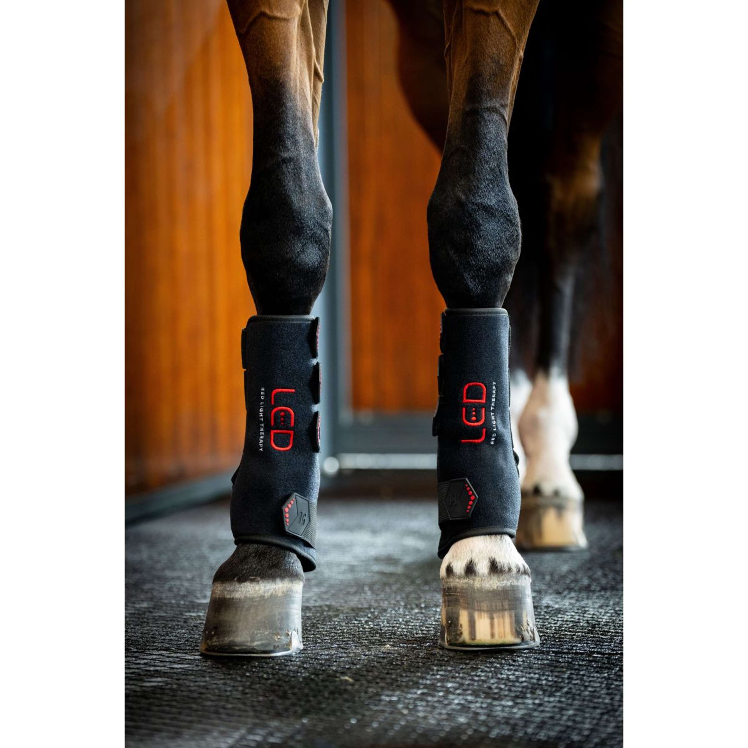 Horseware Leg Wraps LED Red Light Therapy Pair Schwarz/Schwarz