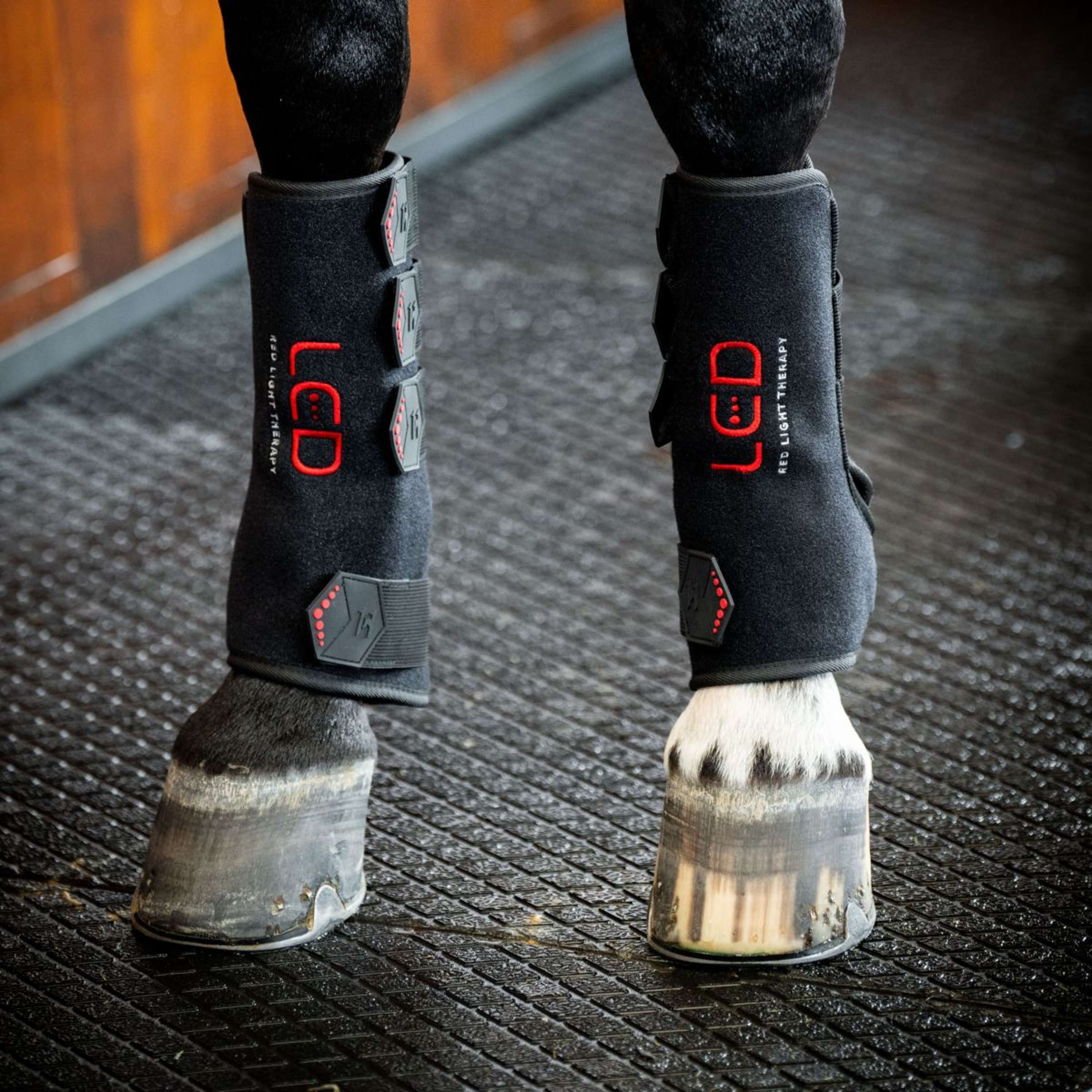 Horseware Leg Wraps LED Red Light Therapy Pair Schwarz/Schwarz