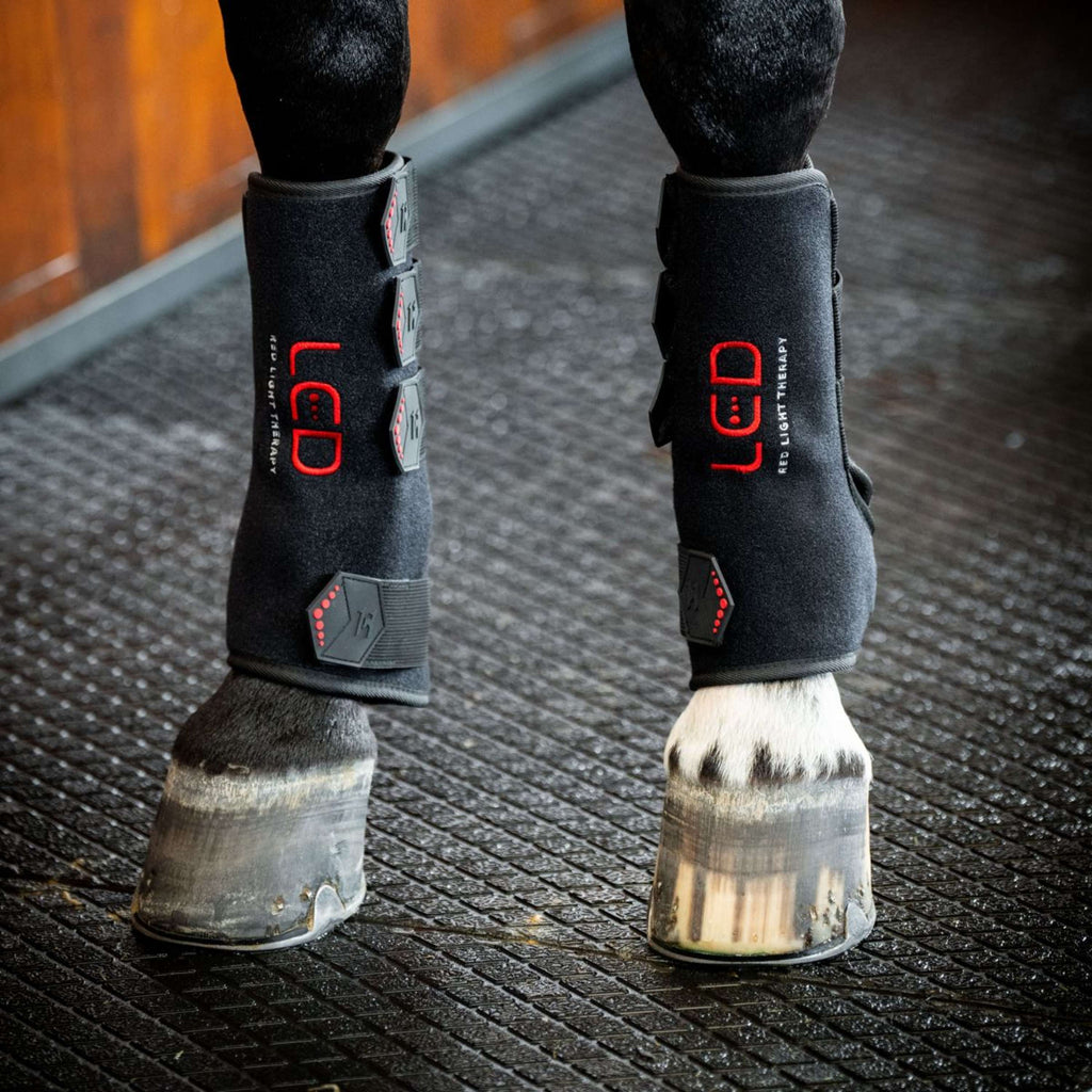Horseware Leg Wraps LED Red Light Therapy Pair Schwarz/Schwarz