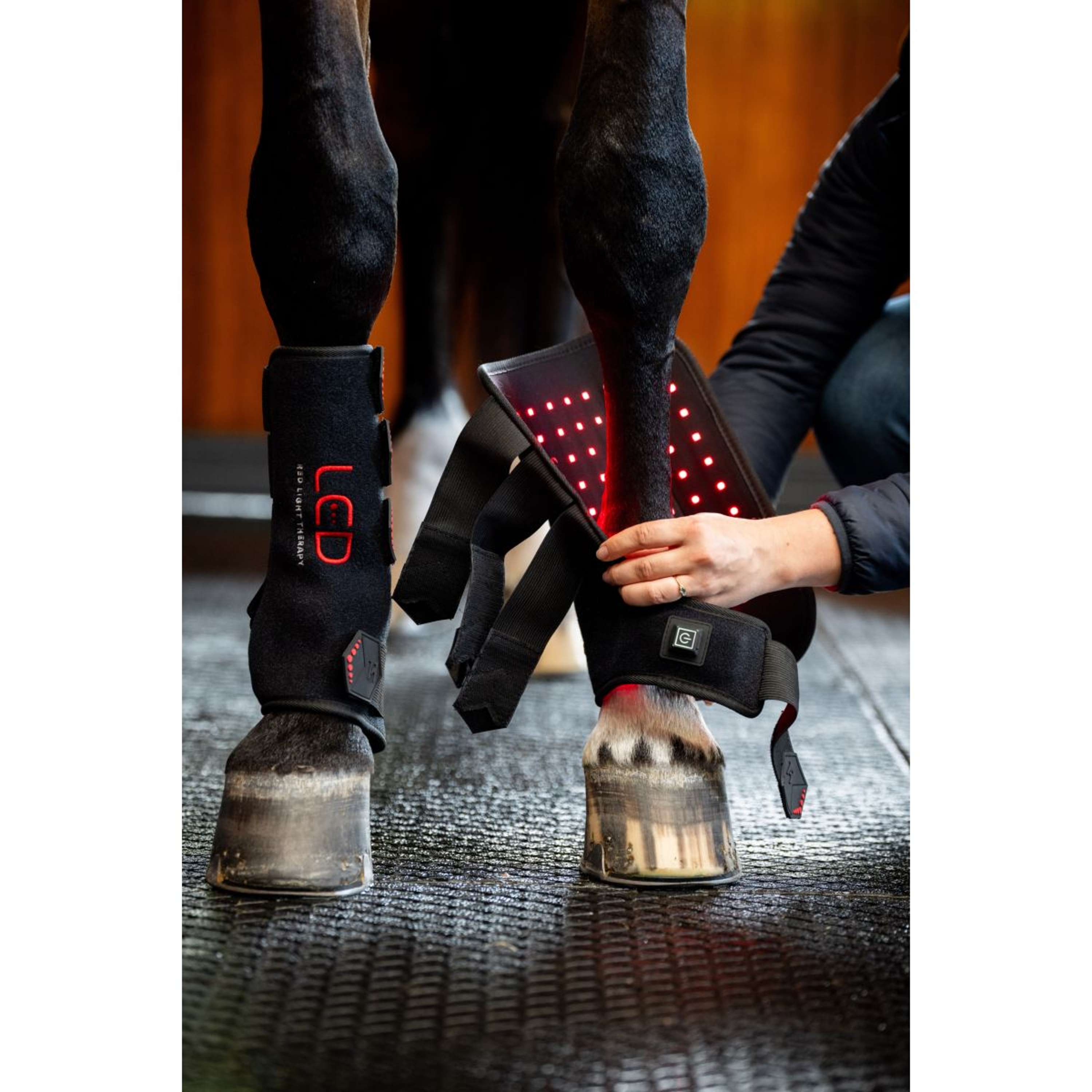Horseware Leg Wraps LED Red Light Therapy Pair Schwarz/Schwarz