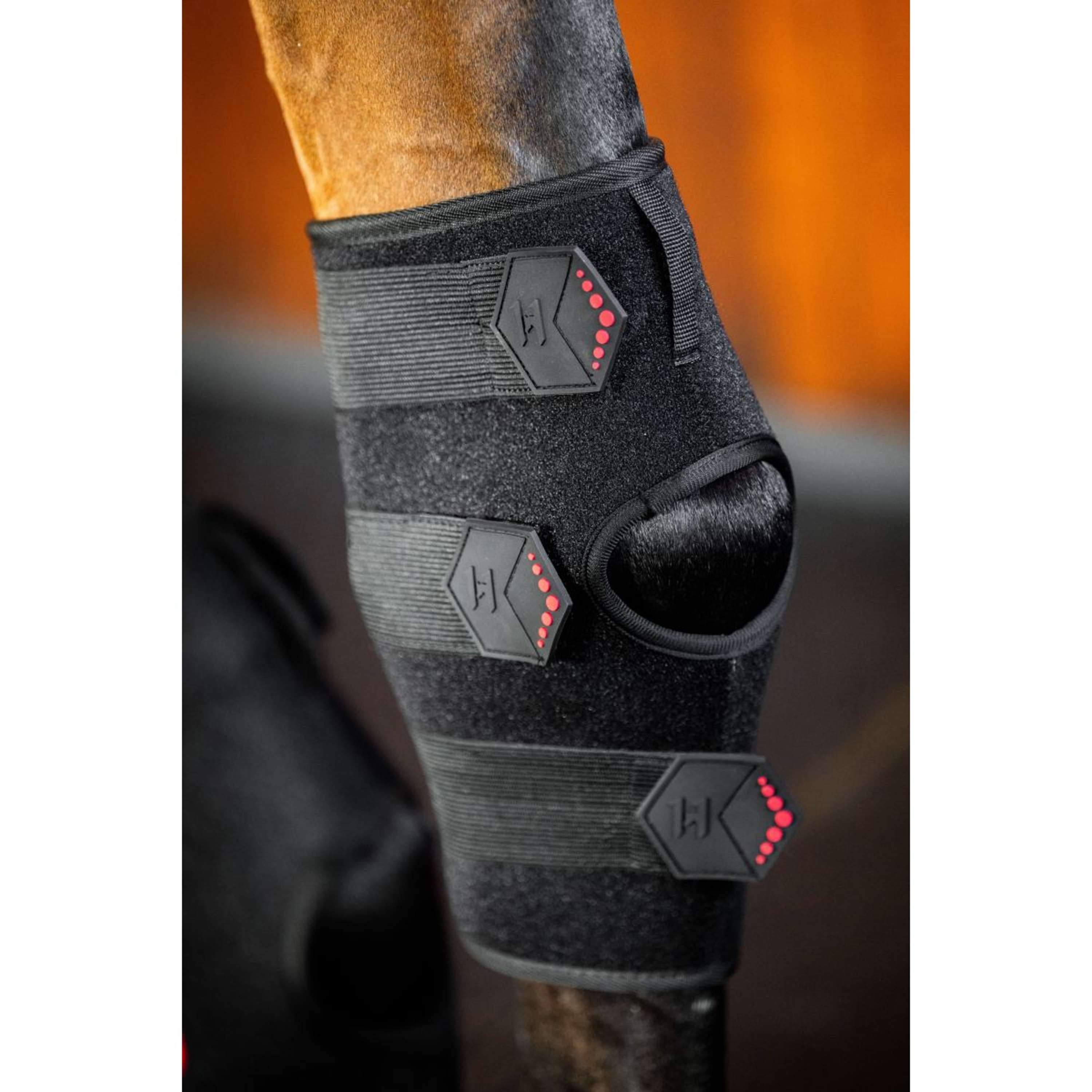 Horseware Hock Boots LED Red Light Therapy Pair Schwarz/Schwarz