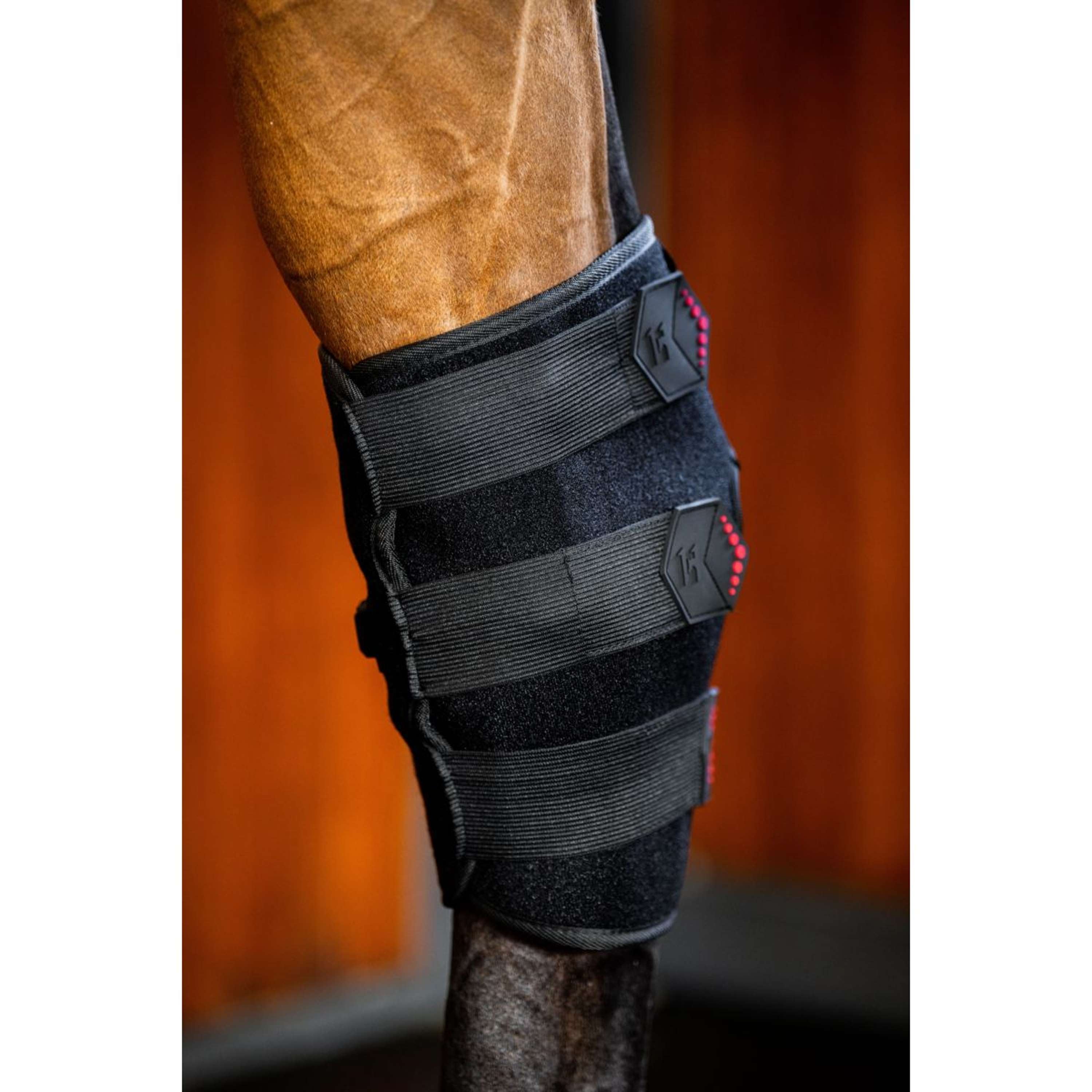 Horseware Hock Boots LED Red Light Therapy Pair Schwarz/Schwarz