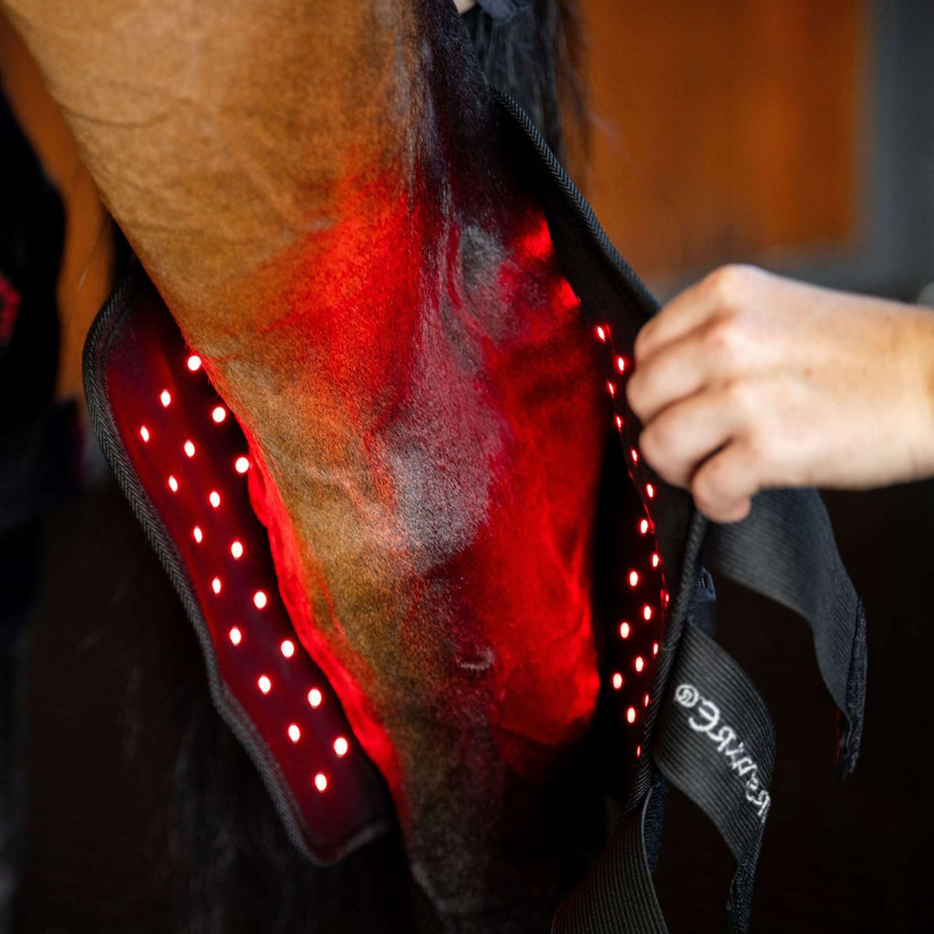Horseware Hock Boots LED Red Light Therapy Pair Schwarz/Schwarz