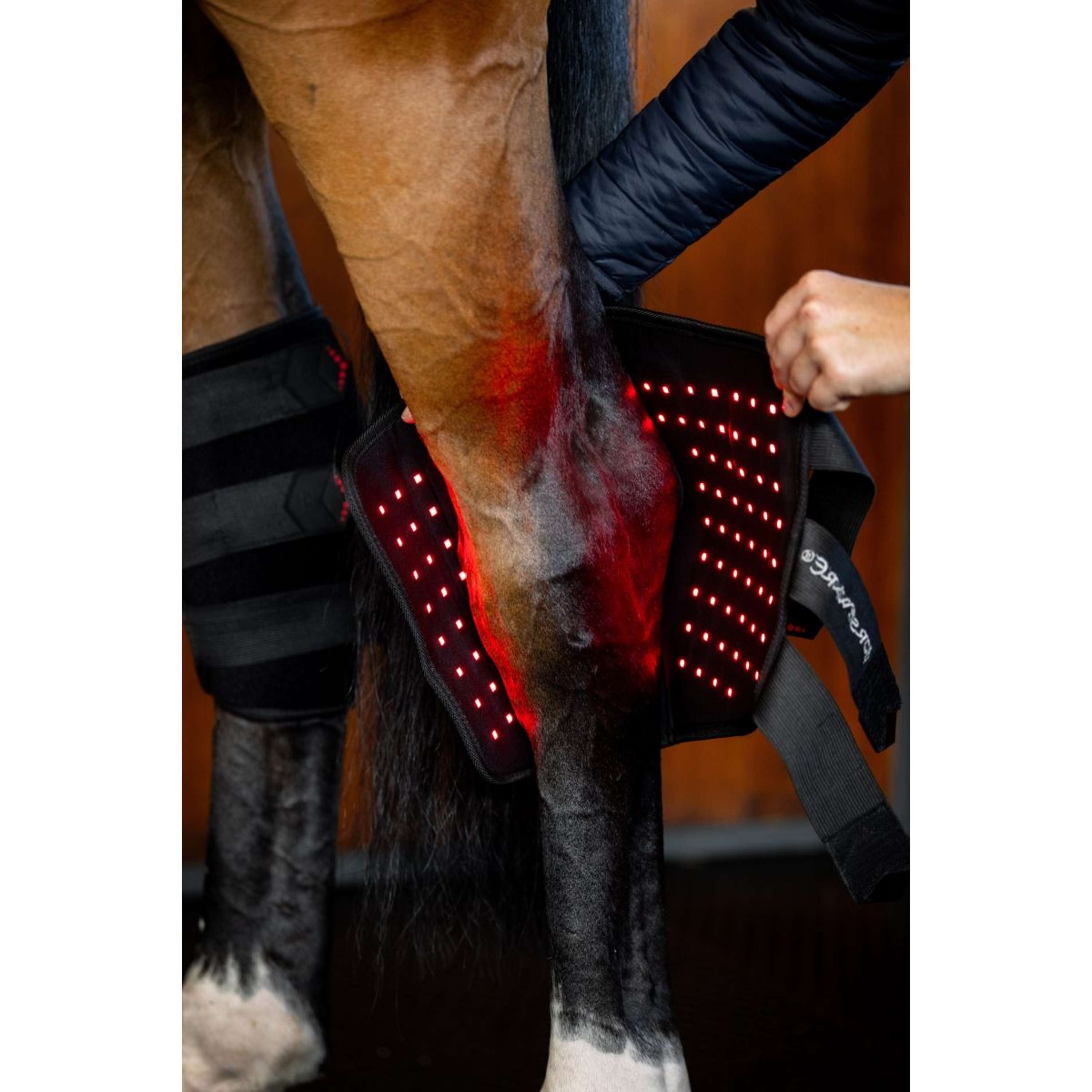 Horseware Hock Boots LED Red Light Therapy Pair Schwarz/Schwarz