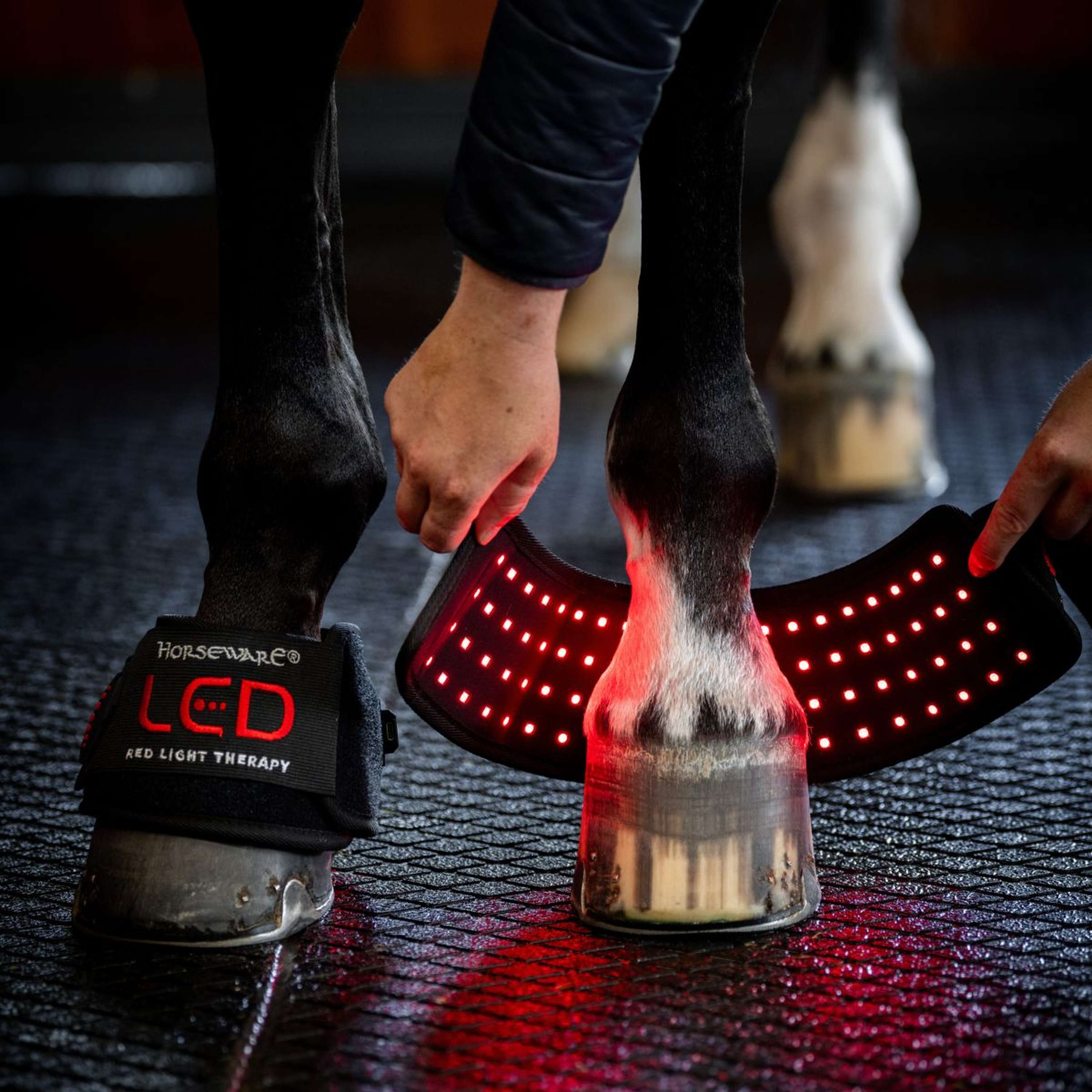 Horseware Mini Wraps LED Red Light Therapy Pair Schwarz/Schwarz