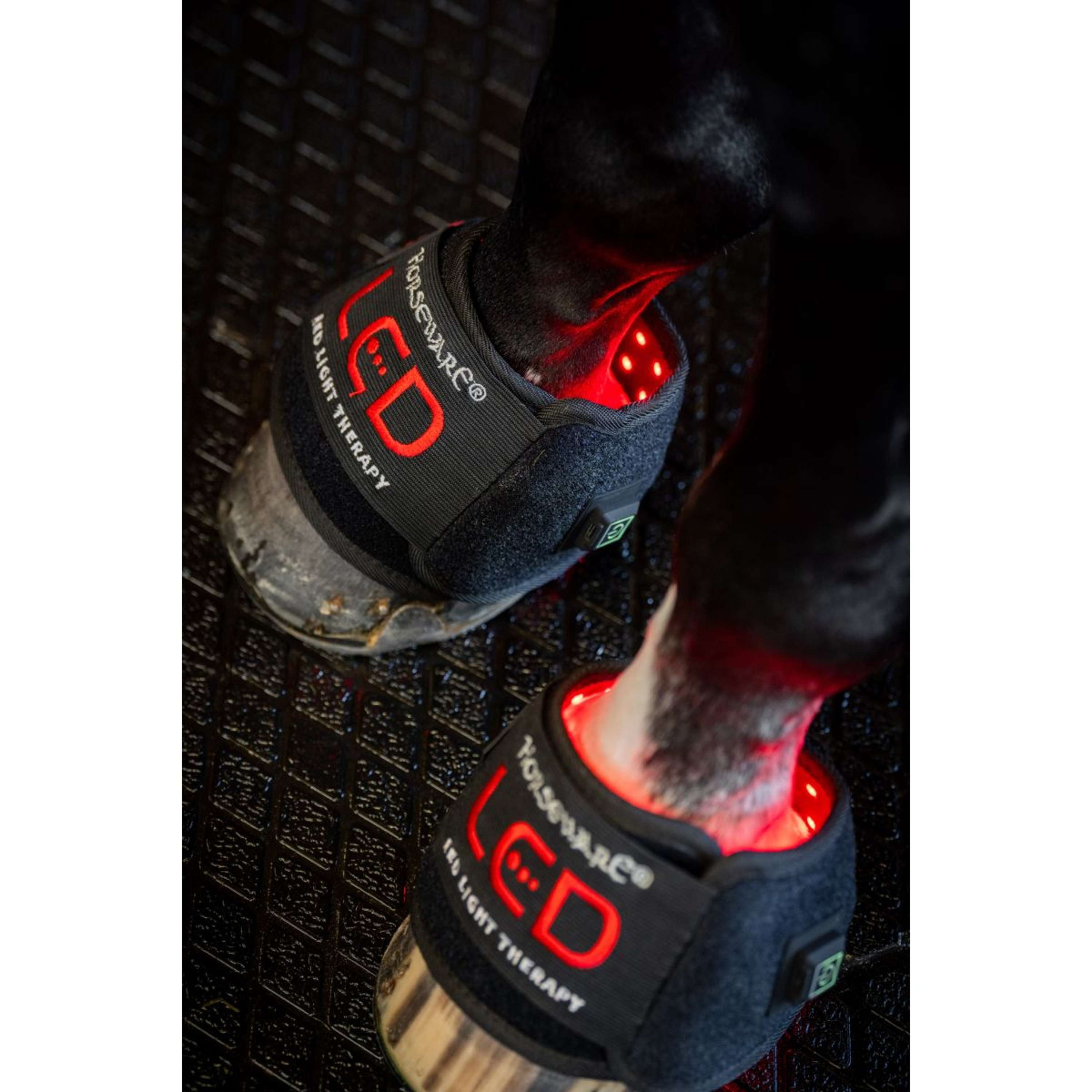 Horseware Mini Wraps LED Red Light Therapy Pair Schwarz/Schwarz