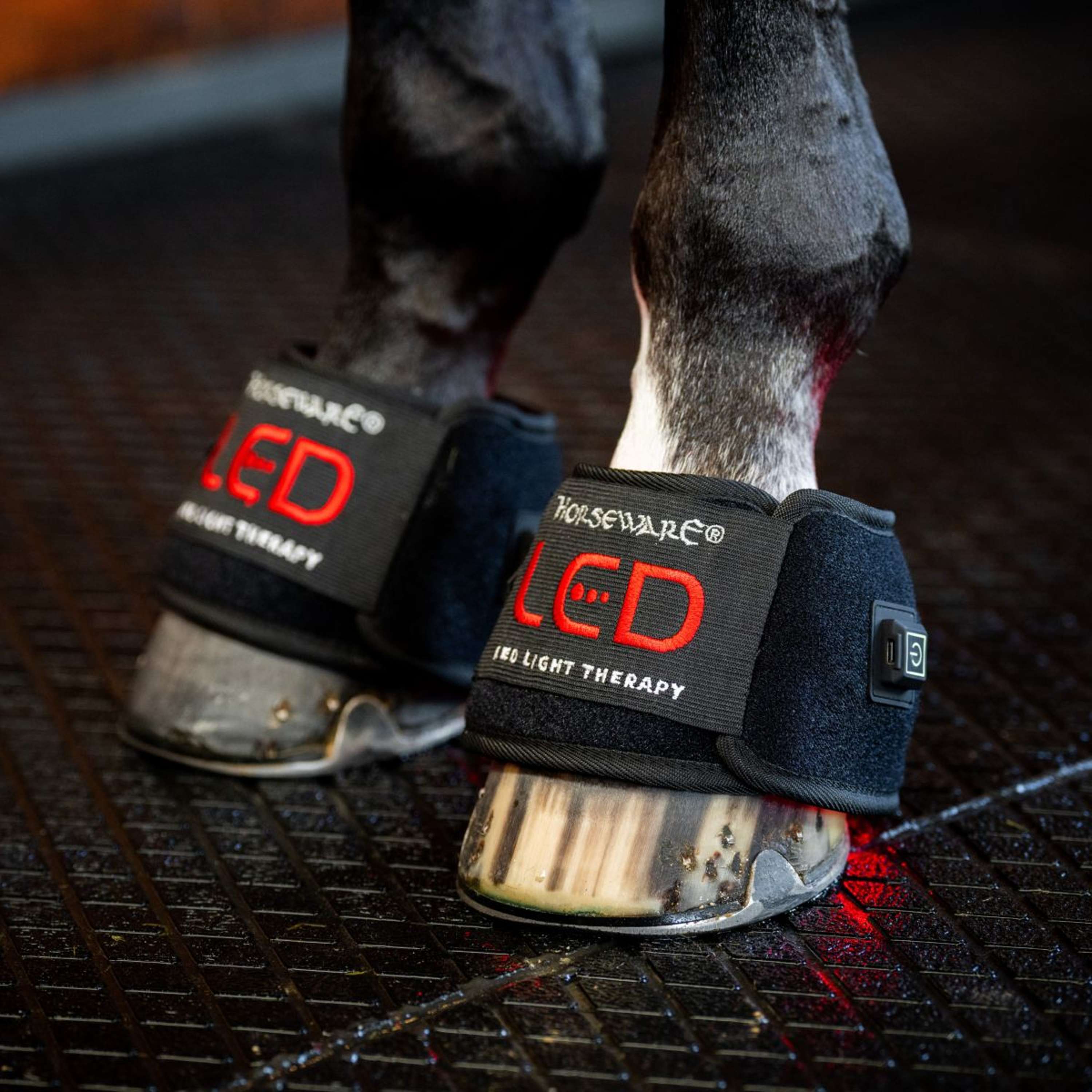 Horseware Mini Wraps LED Red Light Therapy Pair Schwarz/Schwarz