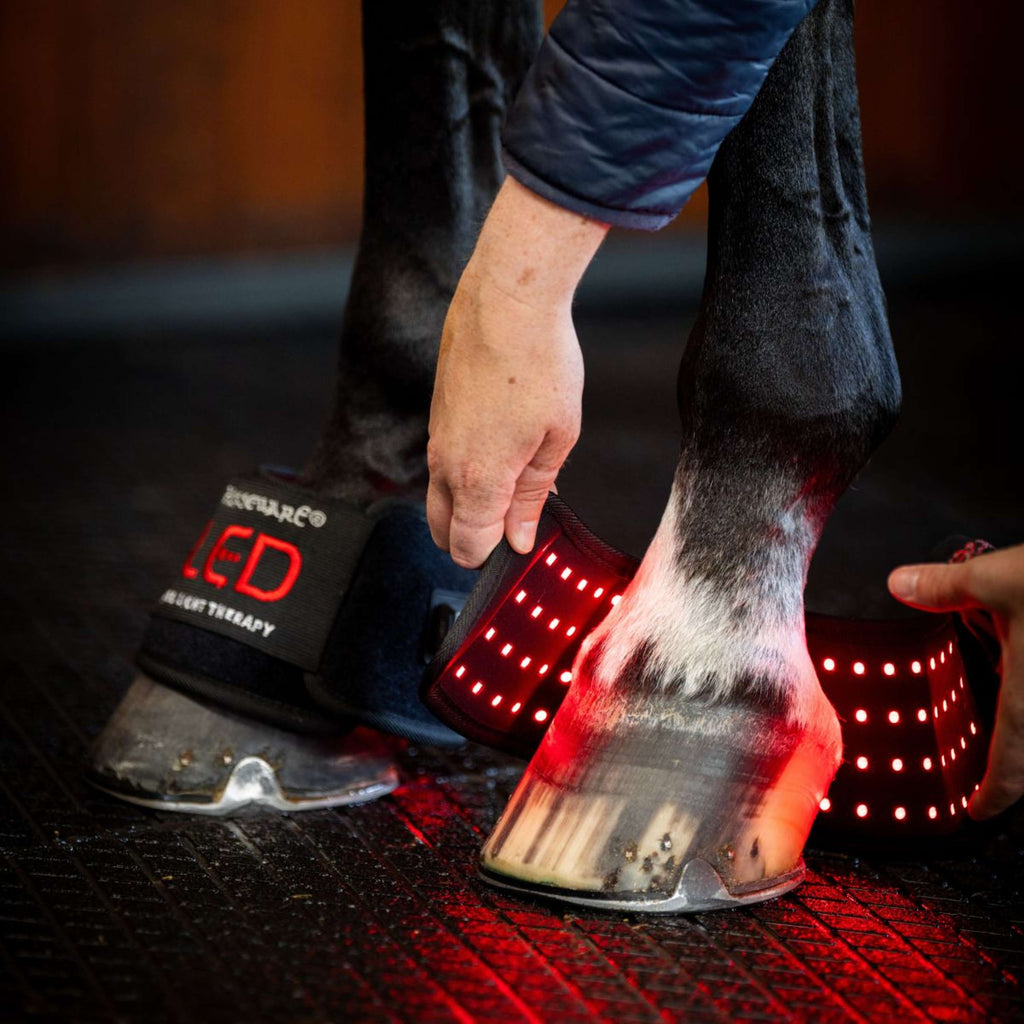 Horseware Mini Wraps LED Red Light Therapy Pair Schwarz/Schwarz