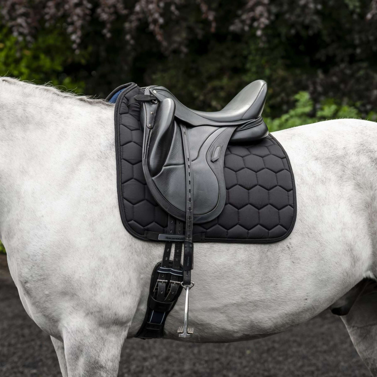 Horseware Schabracke Ionic Dressur Schwarz