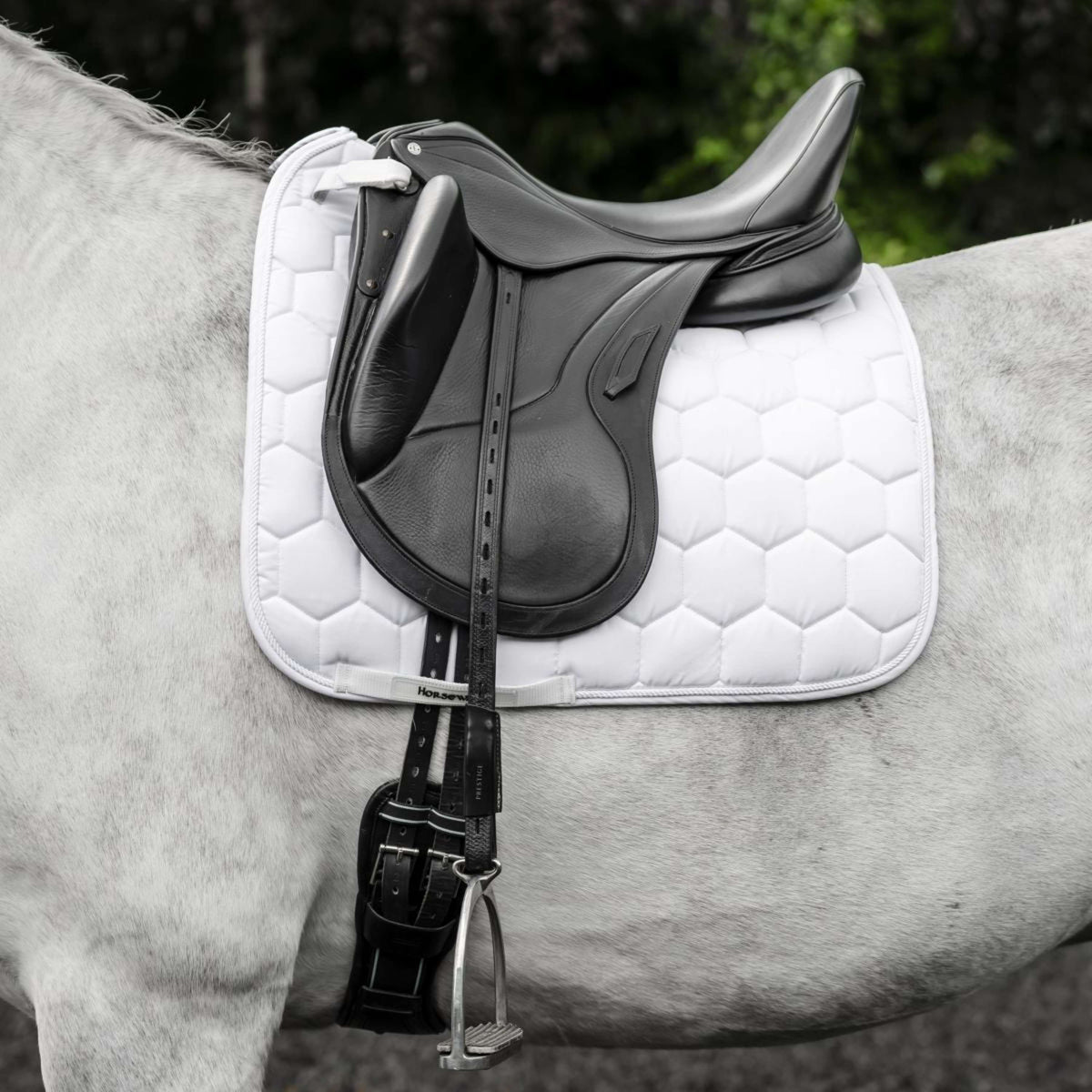Horseware Schabracke Ionic Dressur Weiß