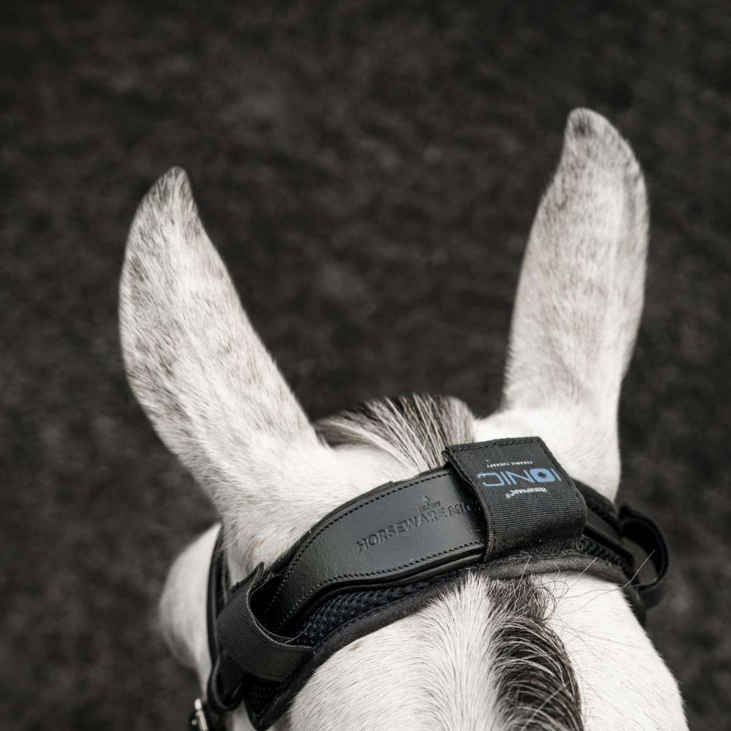 Horseware Kopfstückschutz Ionic Schwarz