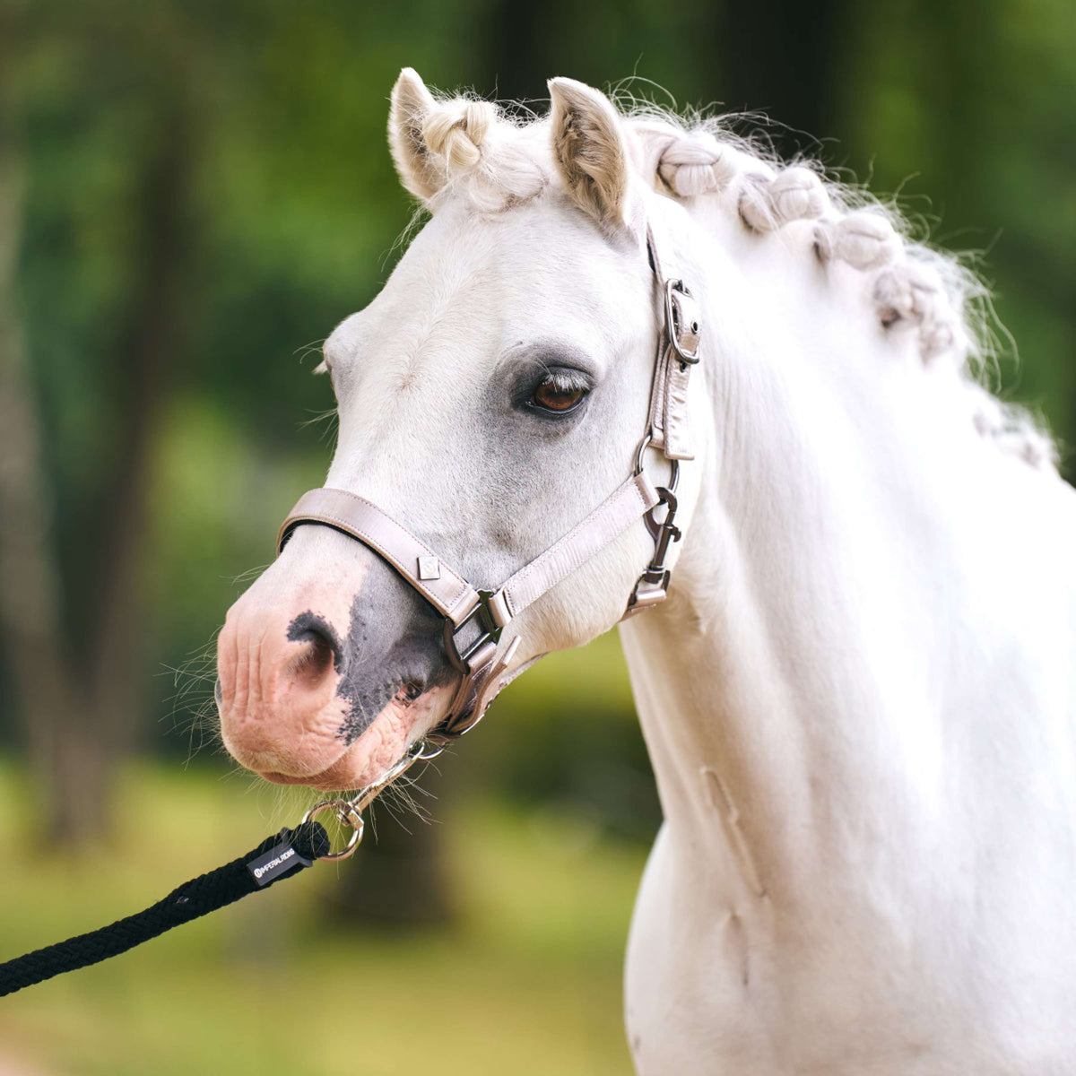 Imperial Riding Halfter IRHRebel Grau