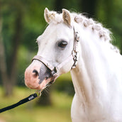 Imperial Riding Halfter IRHRebel Grau