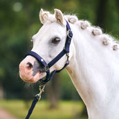 Imperial Riding Halfter IRHRebel Navy