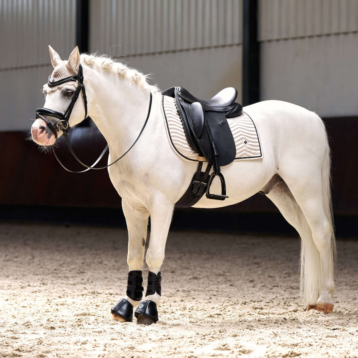 Imperial Riding Schabracke IRHRebel Dressur Grau